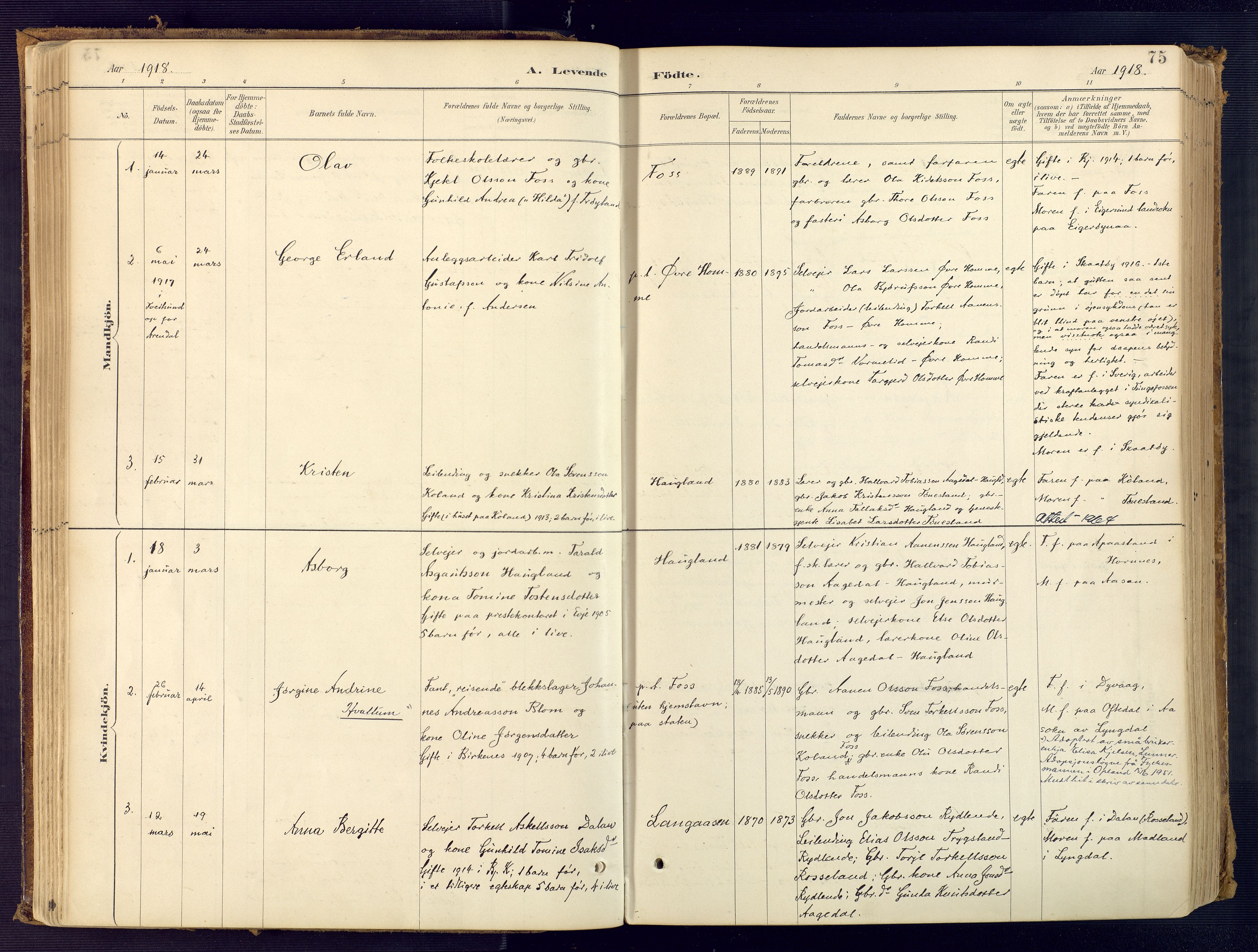 Bjelland sokneprestkontor, SAK/1111-0005/F/Fa/Faa/L0004: Parish register (official) no. A 4, 1887-1923, p. 75