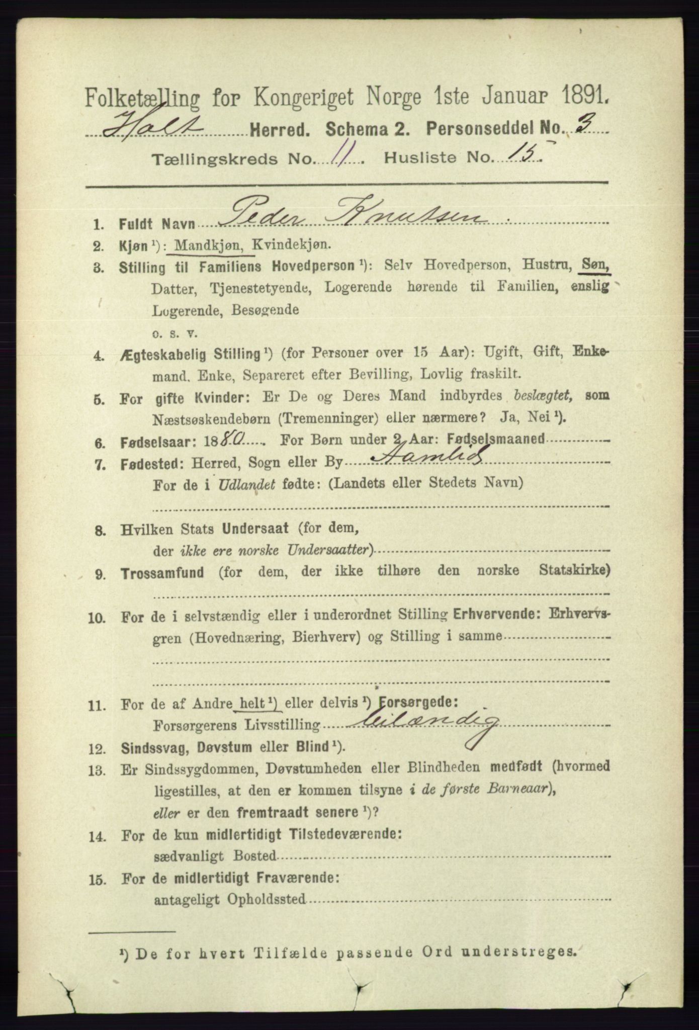 RA, 1891 census for 0914 Holt, 1891, p. 4895