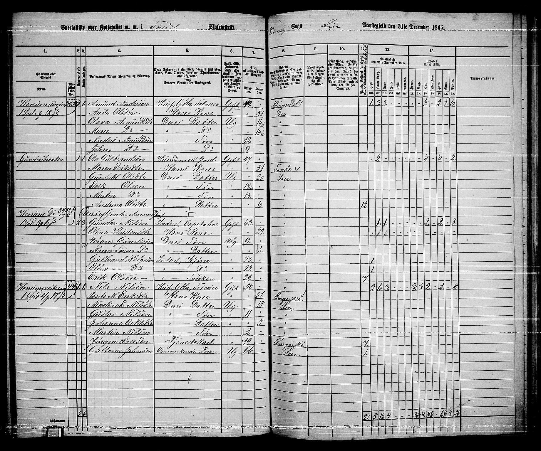 RA, 1865 census for Lier, 1865, p. 181