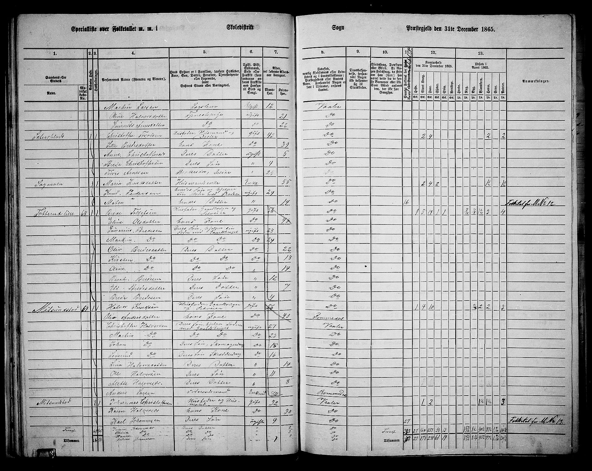 RA, 1865 census for Våler, 1865, p. 37