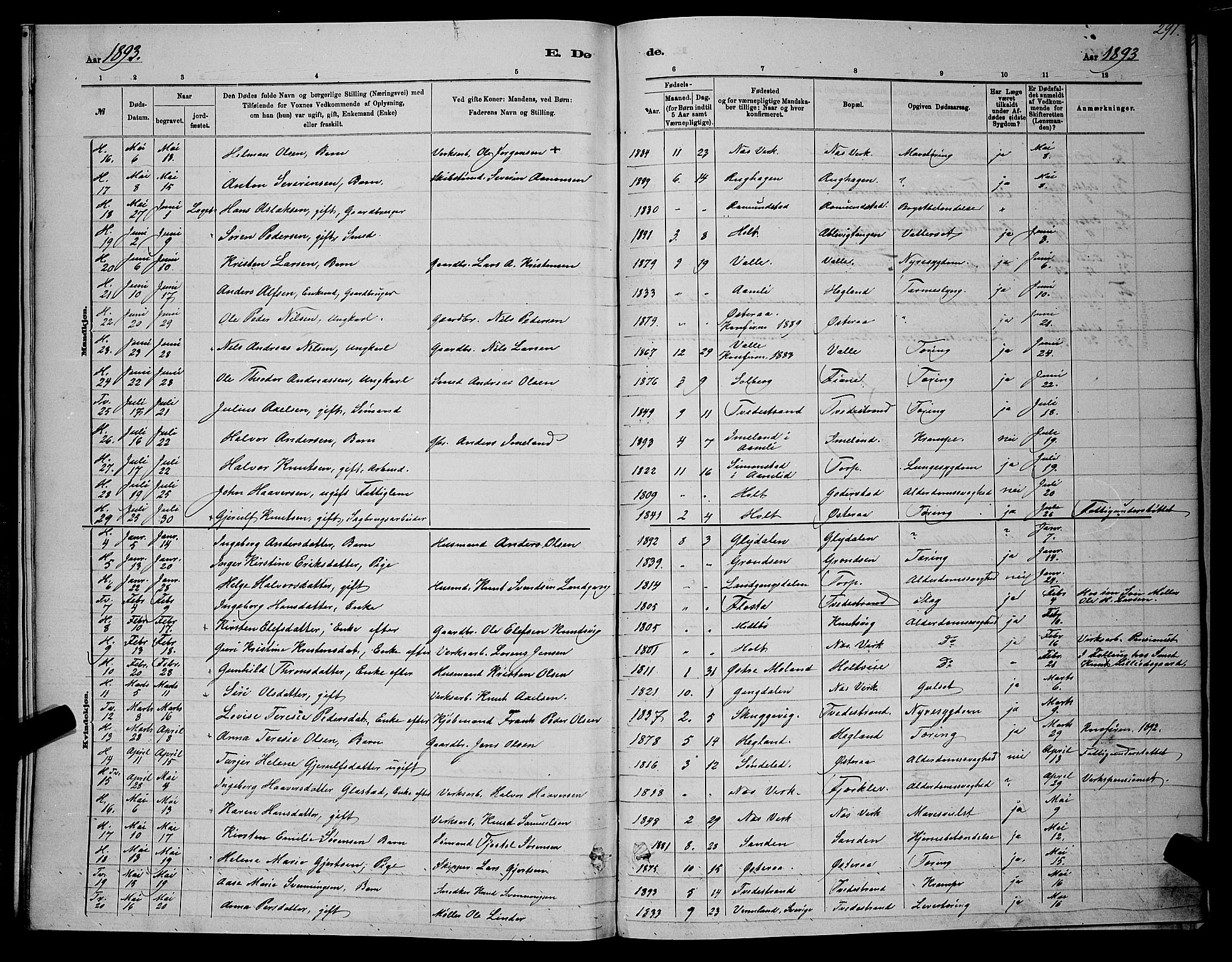 Holt sokneprestkontor, SAK/1111-0021/F/Fb/L0010: Parish register (copy) no. B 10, 1883-1896, p. 291