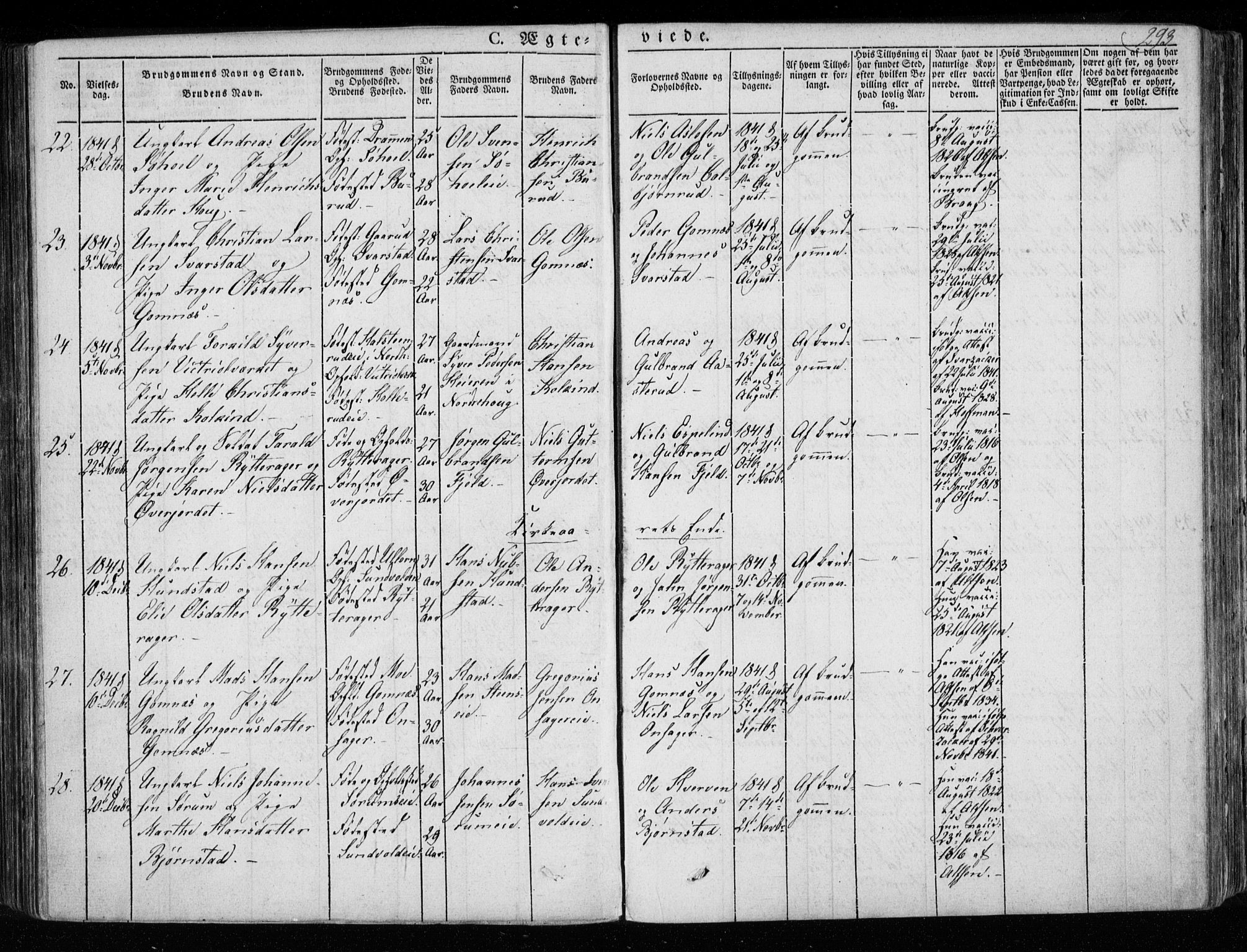 Hole kirkebøker, SAKO/A-228/F/Fa/L0005: Parish register (official) no. I 5, 1833-1851, p. 293