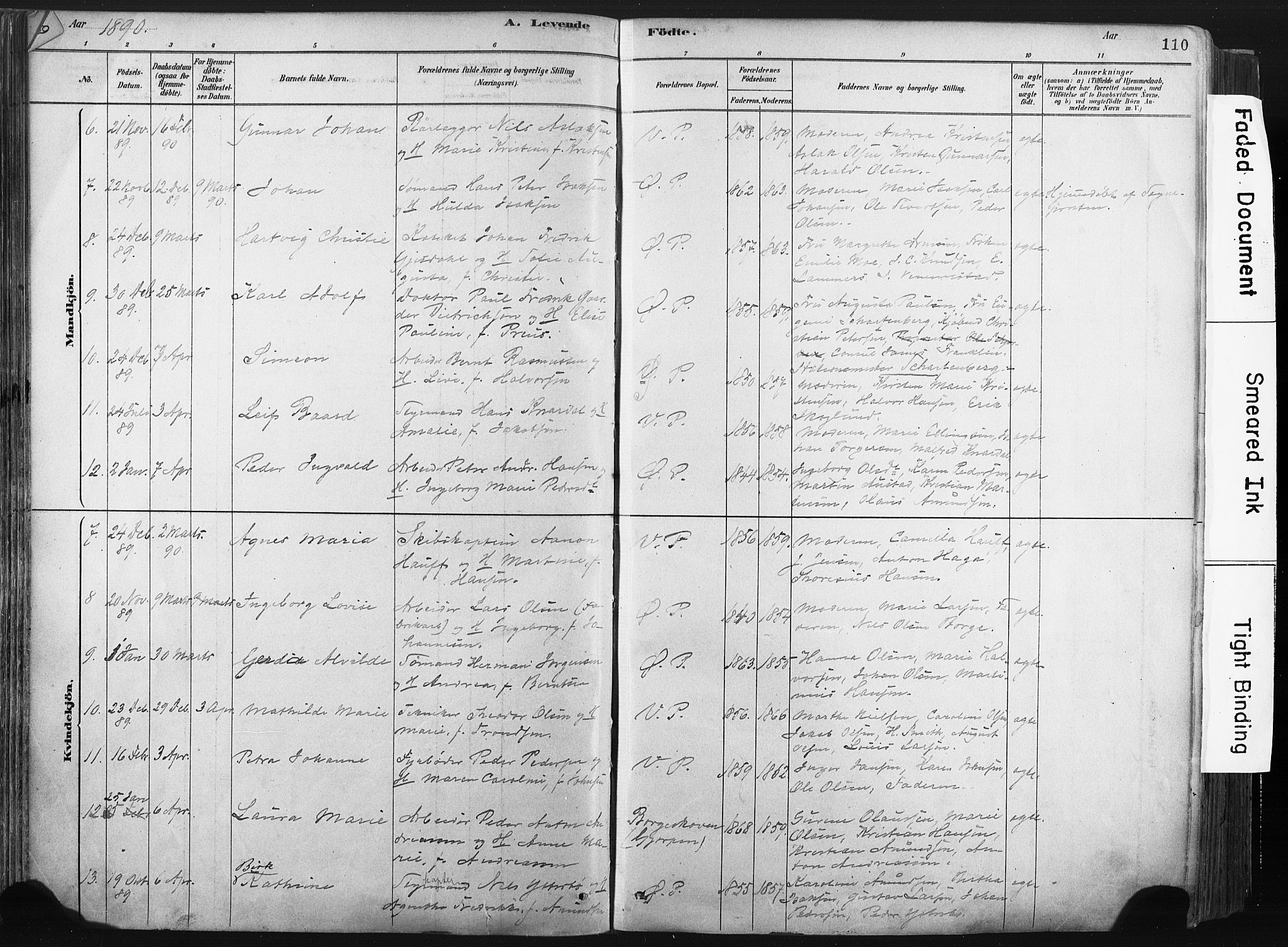 Porsgrunn kirkebøker , SAKO/A-104/F/Fa/L0008: Parish register (official) no. 8, 1878-1895, p. 110