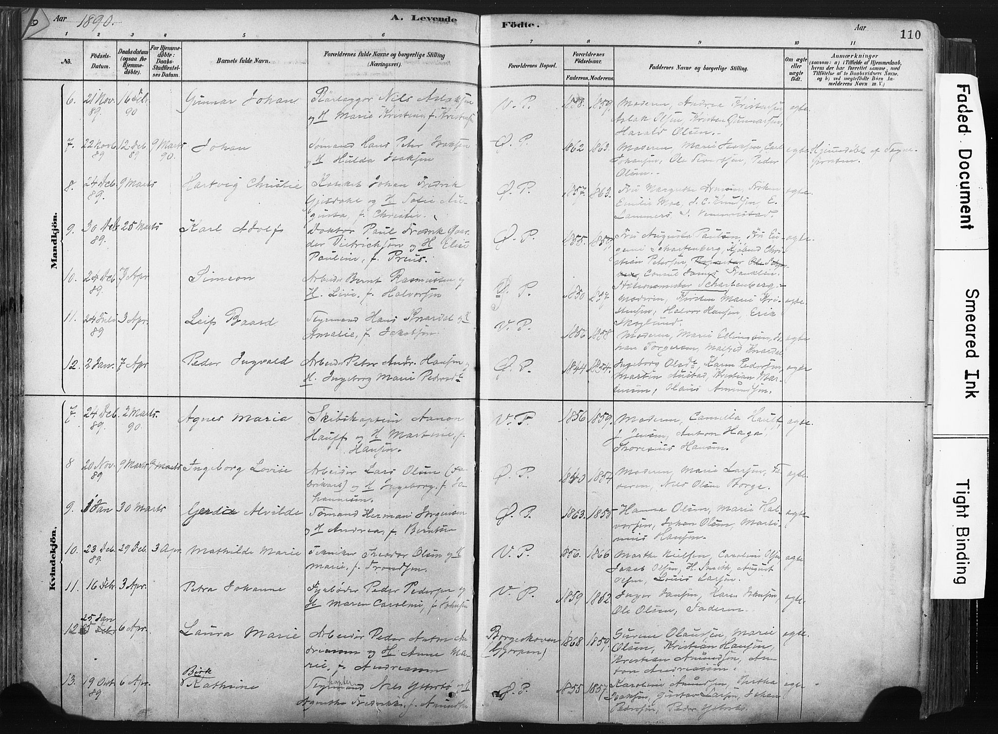 Porsgrunn kirkebøker , AV/SAKO-A-104/F/Fa/L0008: Parish register (official) no. 8, 1878-1895, p. 110