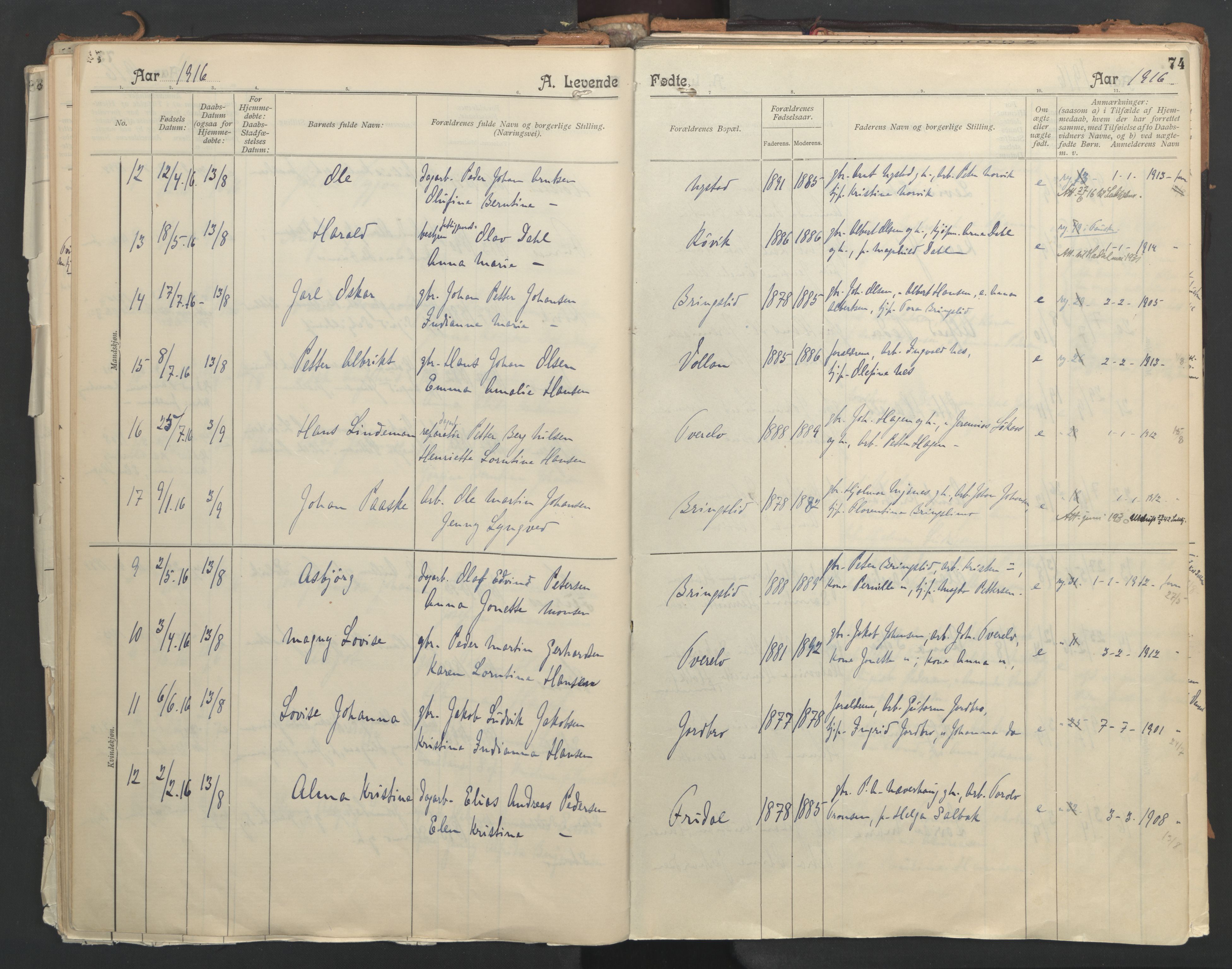 Ministerialprotokoller, klokkerbøker og fødselsregistre - Nordland, AV/SAT-A-1459/851/L0724: Parish register (official) no. 851A01, 1901-1922, p. 74