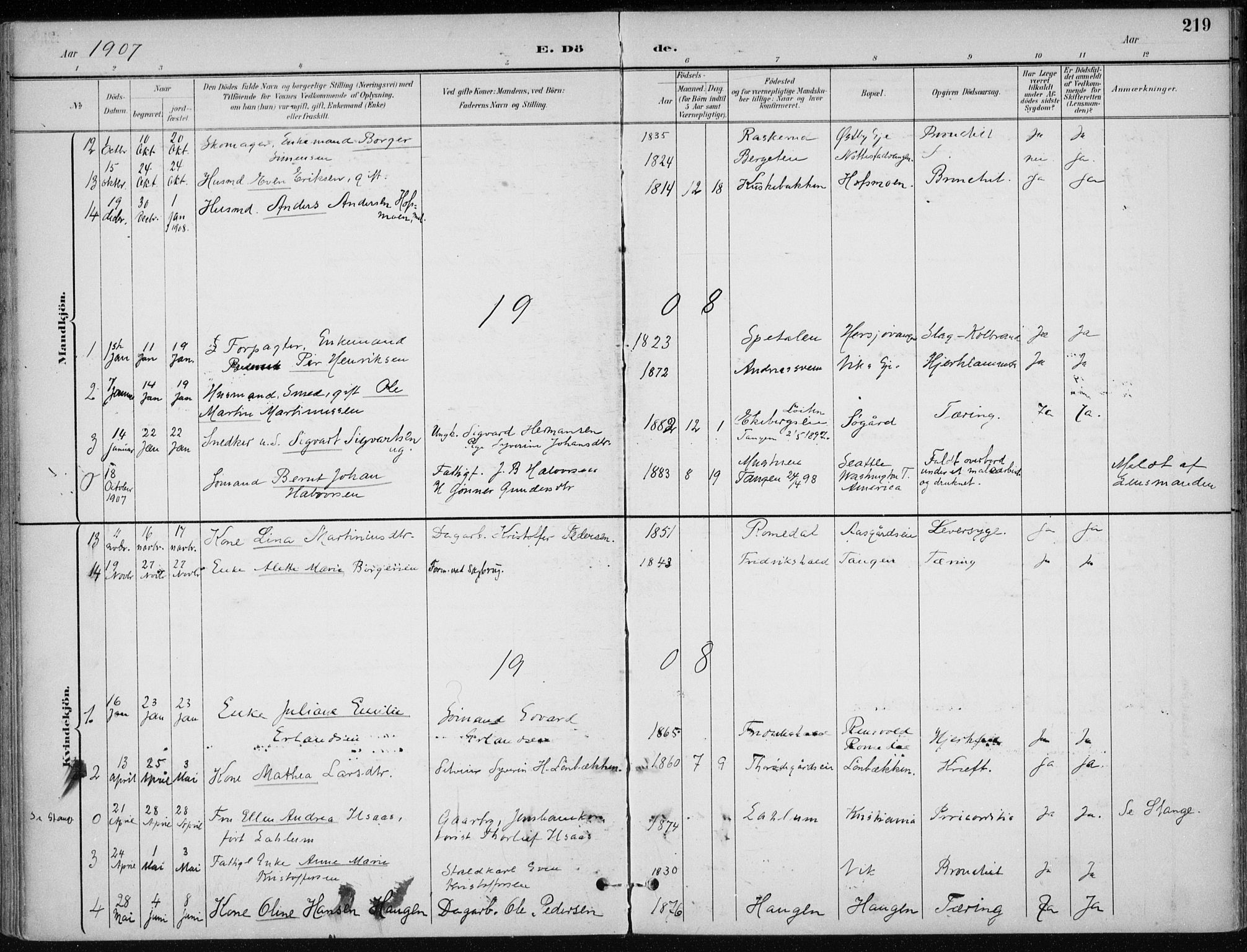 Stange prestekontor, SAH/PREST-002/K/L0023: Parish register (official) no. 23, 1897-1920, p. 219