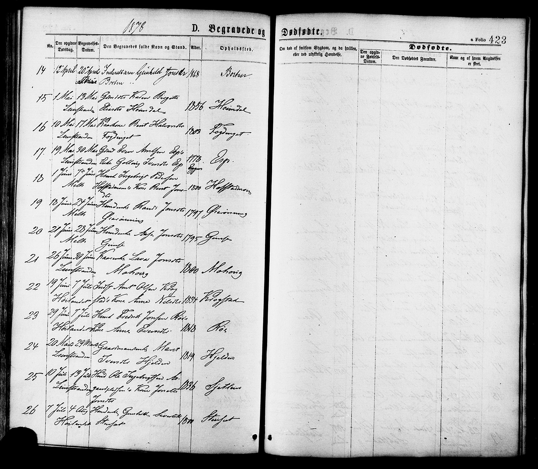 Ministerialprotokoller, klokkerbøker og fødselsregistre - Sør-Trøndelag, AV/SAT-A-1456/691/L1079: Parish register (official) no. 691A11, 1873-1886, p. 423