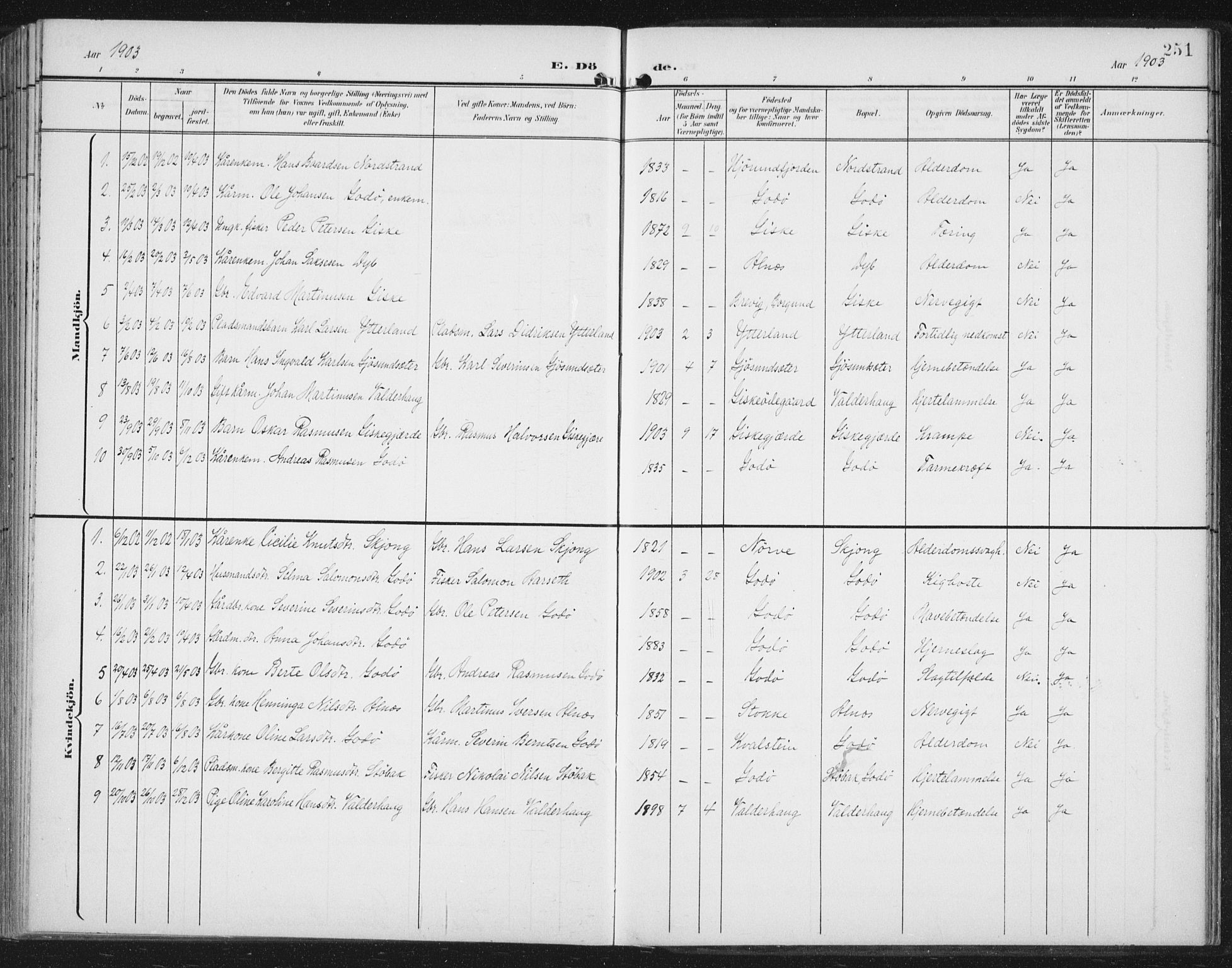 Ministerialprotokoller, klokkerbøker og fødselsregistre - Møre og Romsdal, AV/SAT-A-1454/534/L0489: Parish register (copy) no. 534C01, 1899-1941, p. 251