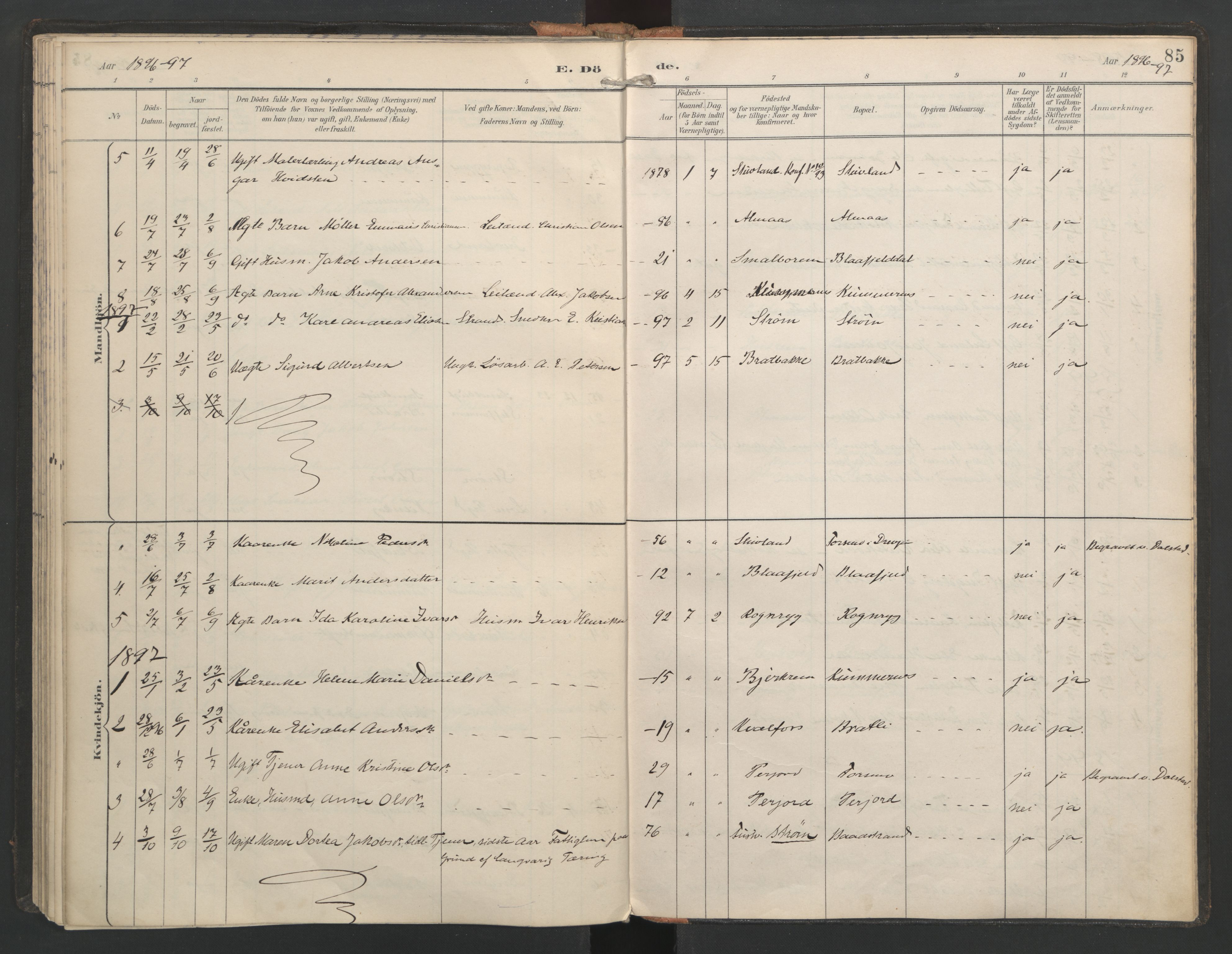 Ministerialprotokoller, klokkerbøker og fødselsregistre - Nordland, SAT/A-1459/821/L0317: Parish register (official) no. 821A01, 1892-1907, p. 85