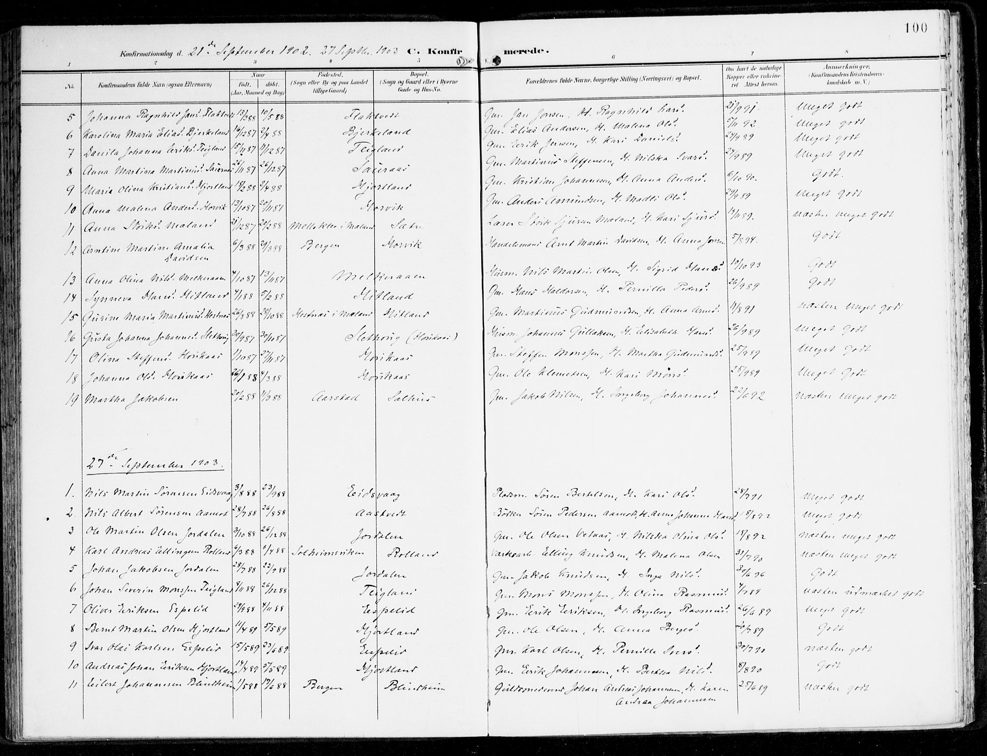 Hamre sokneprestembete, SAB/A-75501/H/Ha/Haa/Haad/L0002: Parish register (official) no. D 2, 1899-1916, p. 100