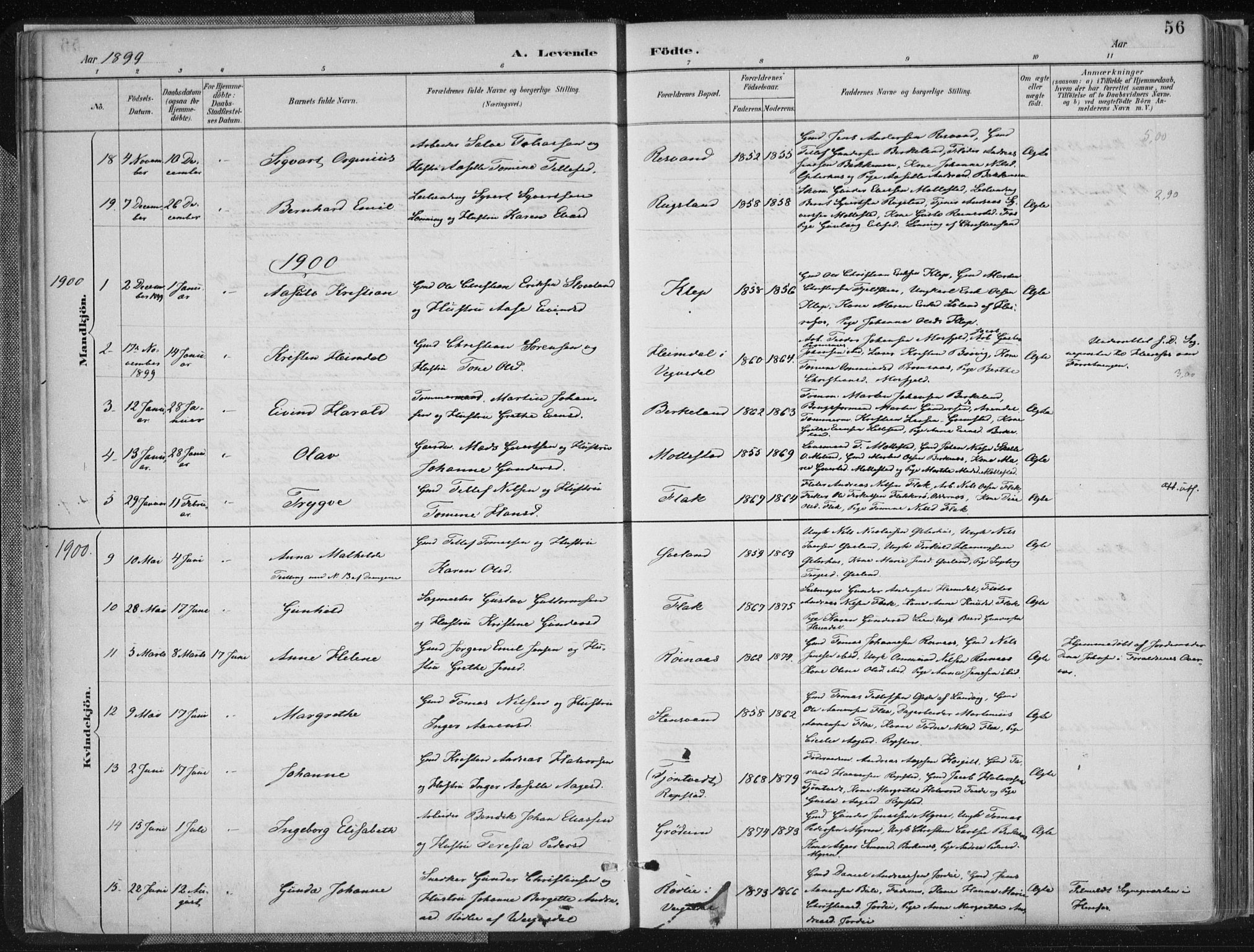 Birkenes sokneprestkontor, AV/SAK-1111-0004/F/Fa/L0005: Parish register (official) no. A 5, 1887-1907, p. 56