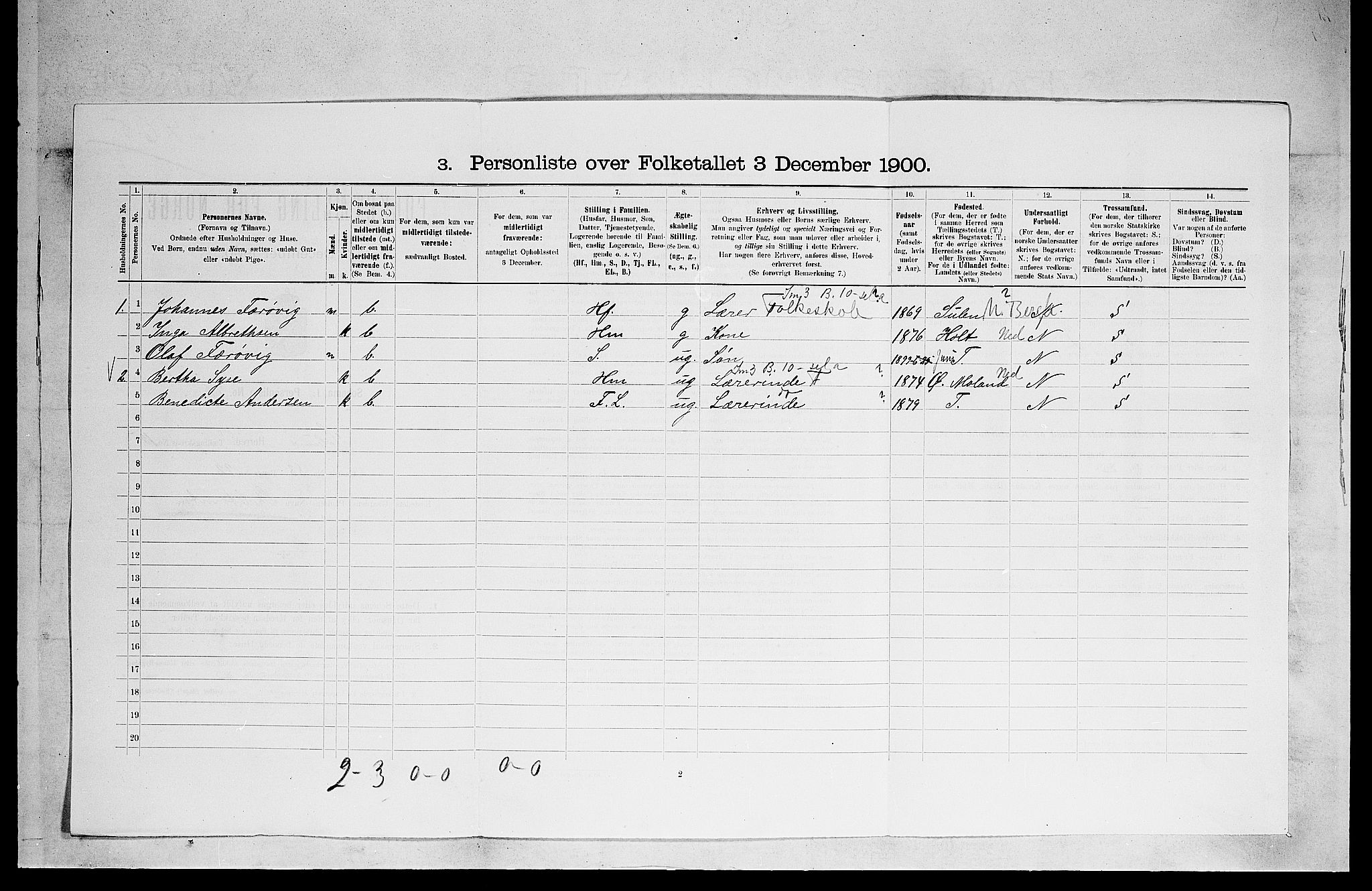 SAKO, 1900 census for Solum, 1900, p. 2395