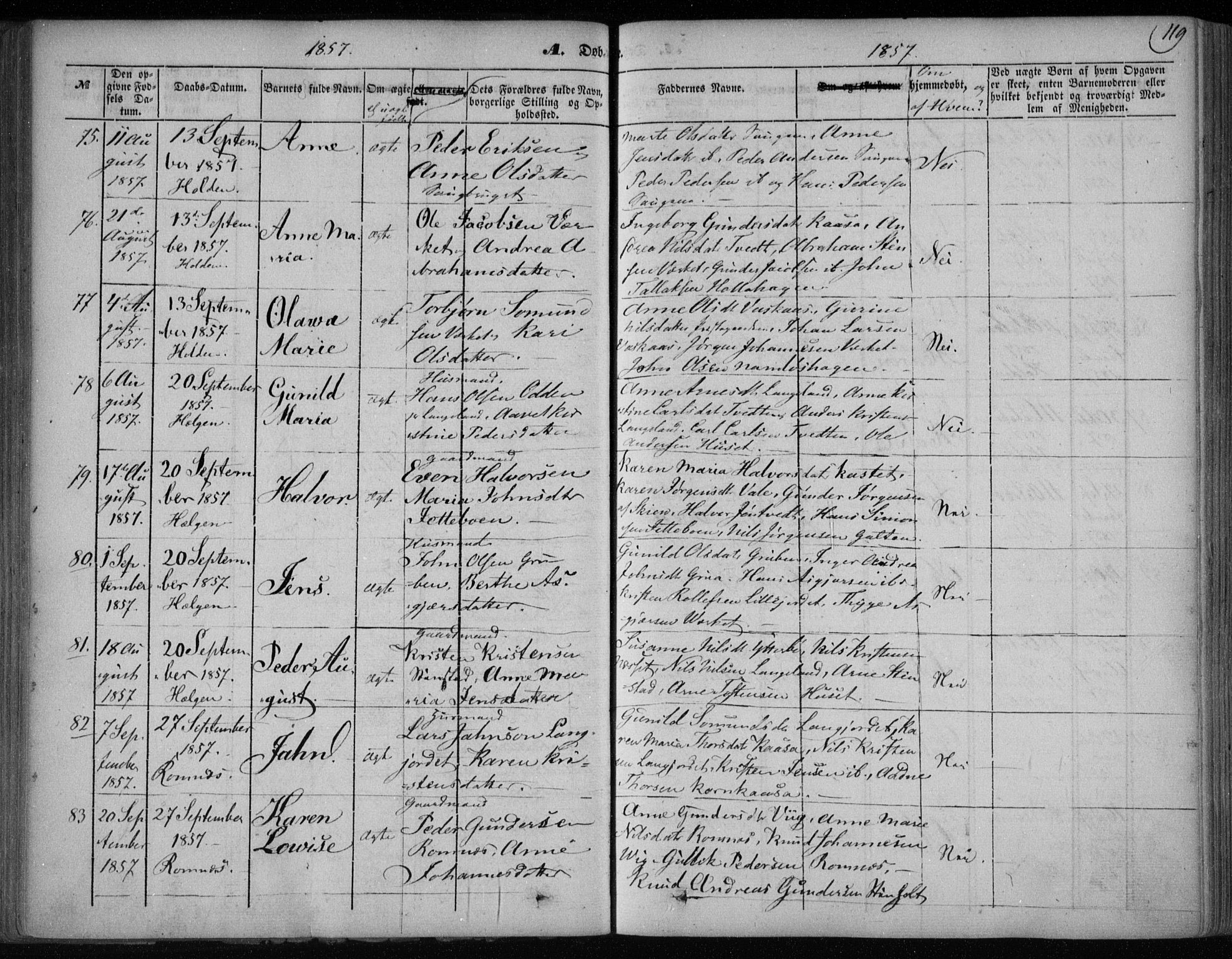 Holla kirkebøker, AV/SAKO-A-272/F/Fa/L0005: Parish register (official) no. 5, 1849-1860, p. 119