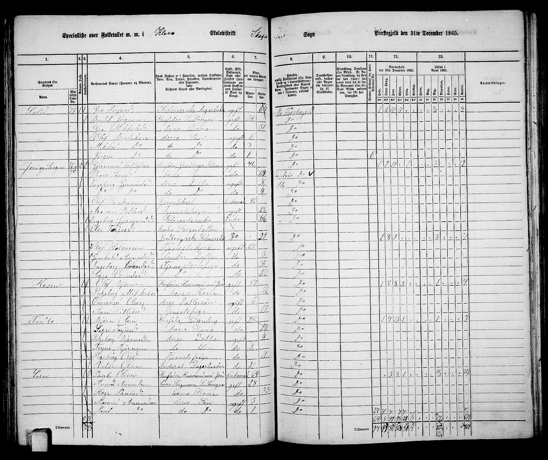 RA, 1865 census for Mo, 1865, p. 62