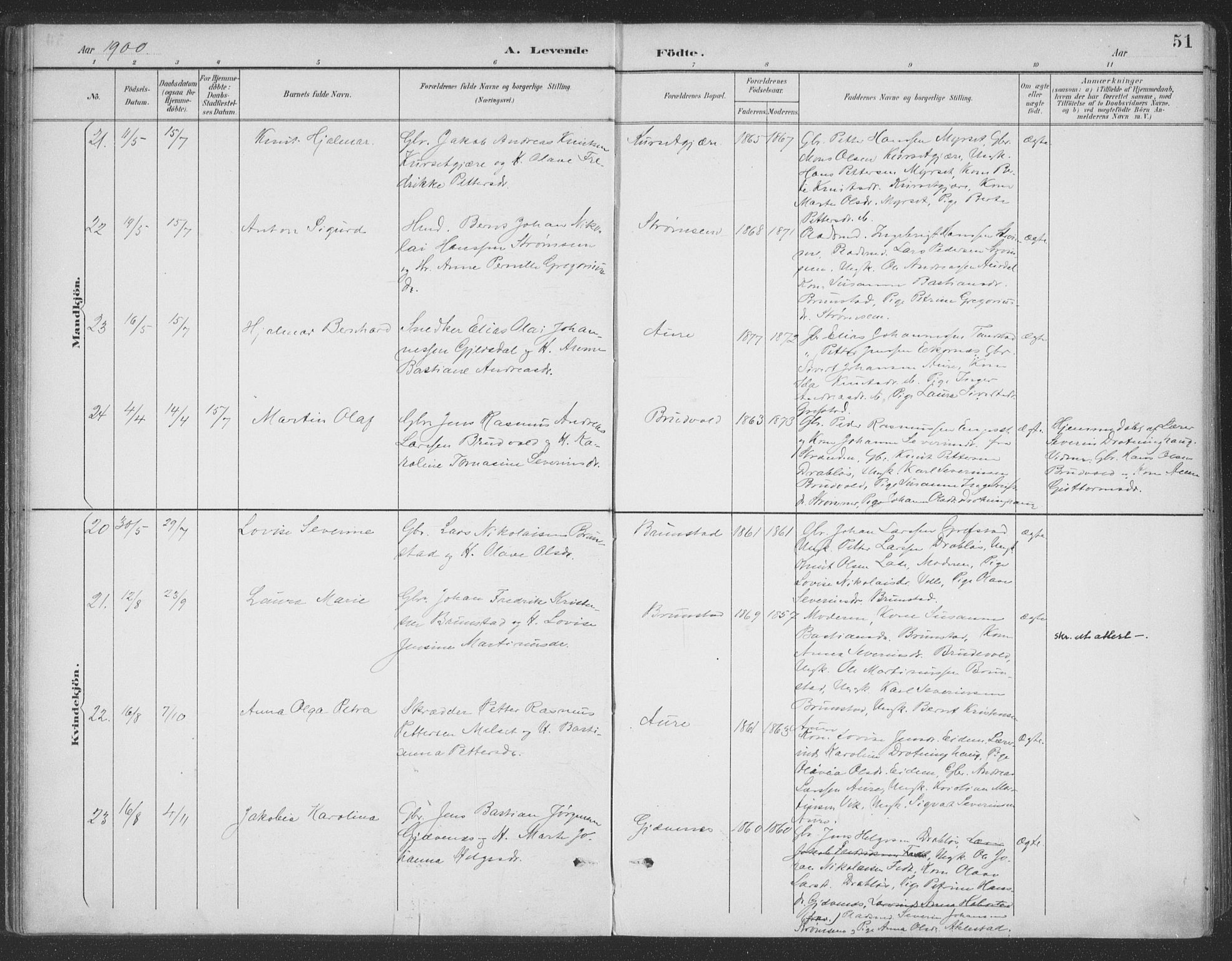 Ministerialprotokoller, klokkerbøker og fødselsregistre - Møre og Romsdal, AV/SAT-A-1454/523/L0335: Parish register (official) no. 523A02, 1891-1911, p. 51