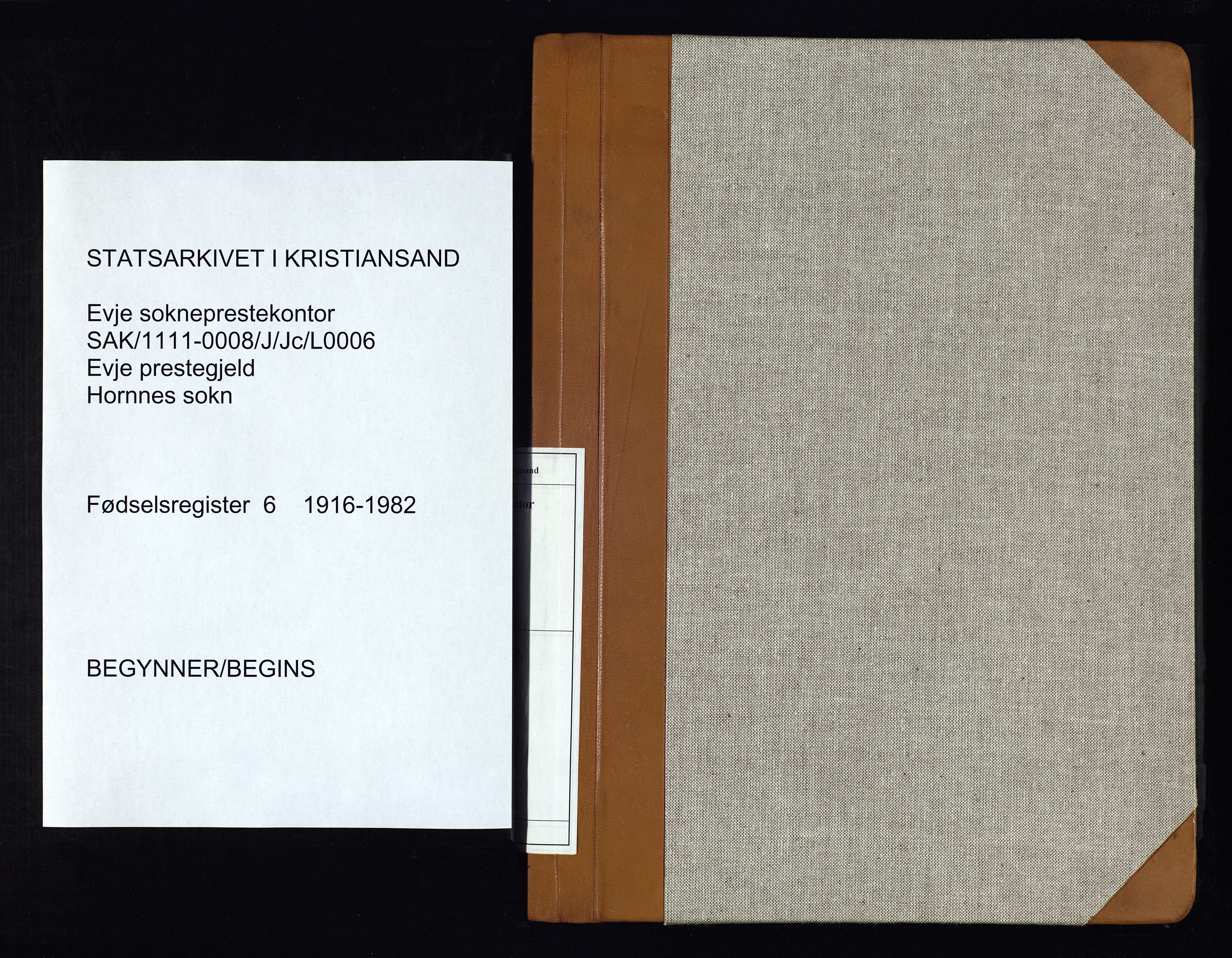 Evje sokneprestkontor, SAK/1111-0008/J/Jc/L0006: Birth register no. 6, 1916-1982