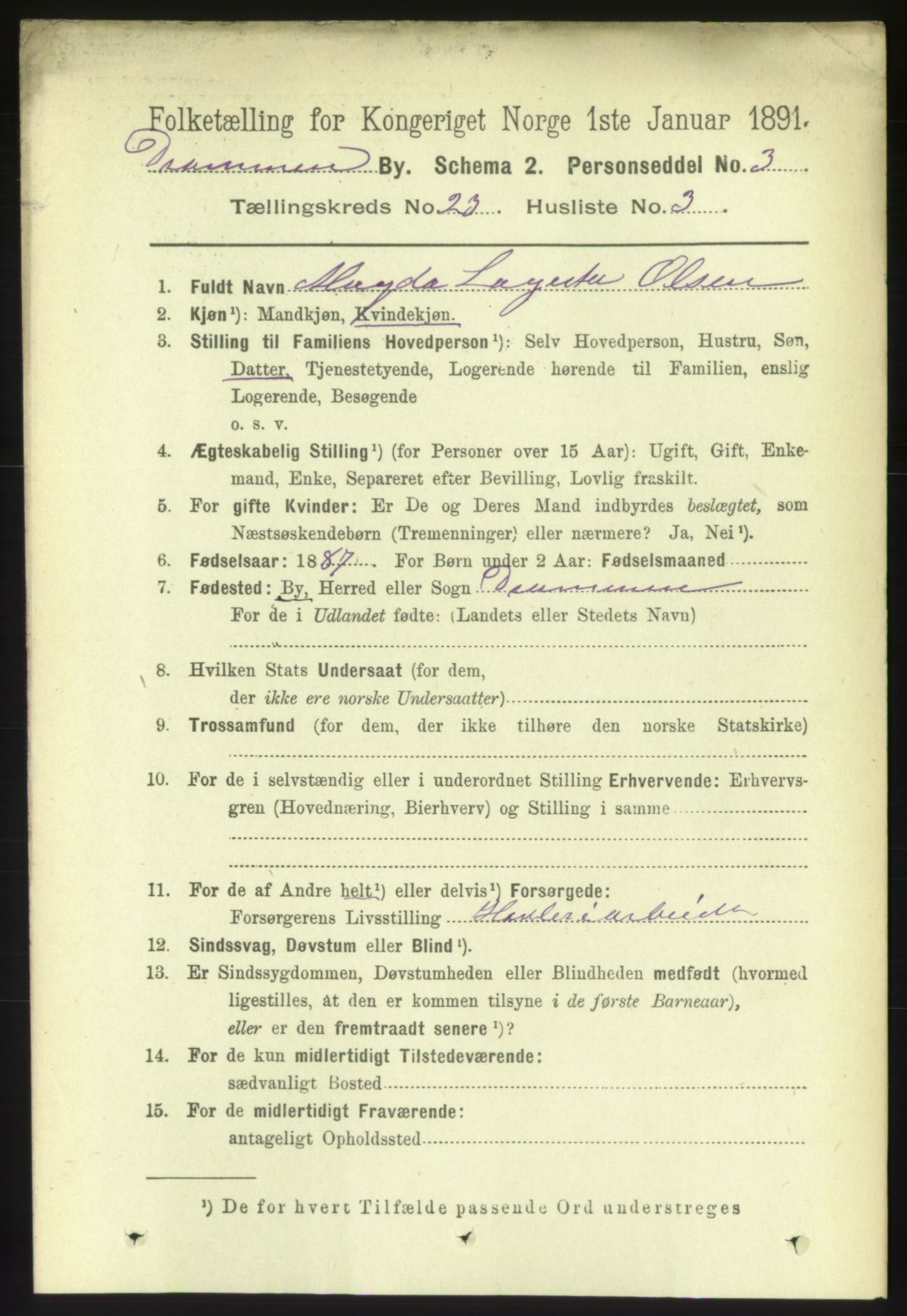 RA, 1891 census for 0602 Drammen, 1891, p. 14075