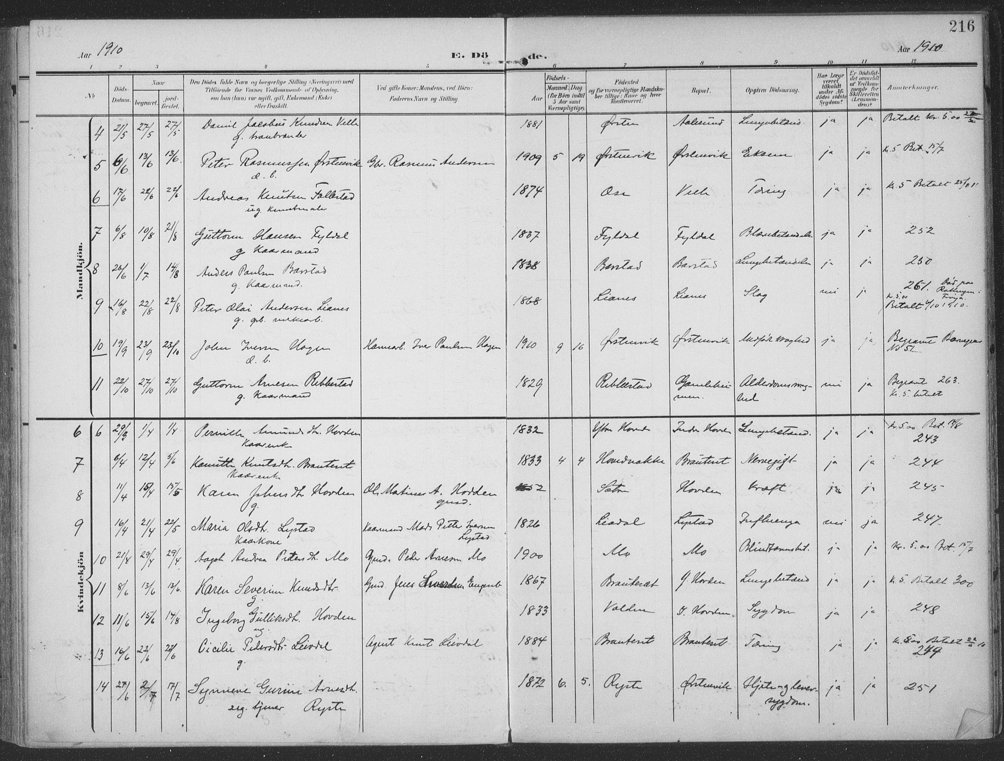 Ministerialprotokoller, klokkerbøker og fødselsregistre - Møre og Romsdal, SAT/A-1454/513/L0178: Parish register (official) no. 513A05, 1906-1919, p. 216