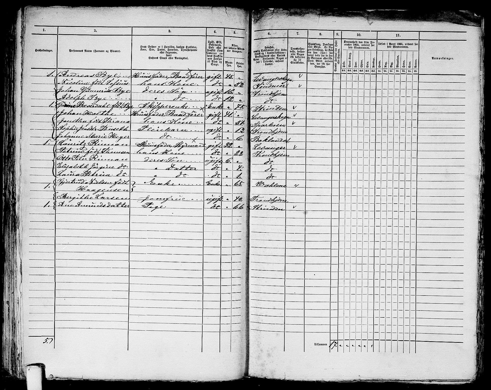 RA, 1865 census for Trondheim, 1865, p. 1207