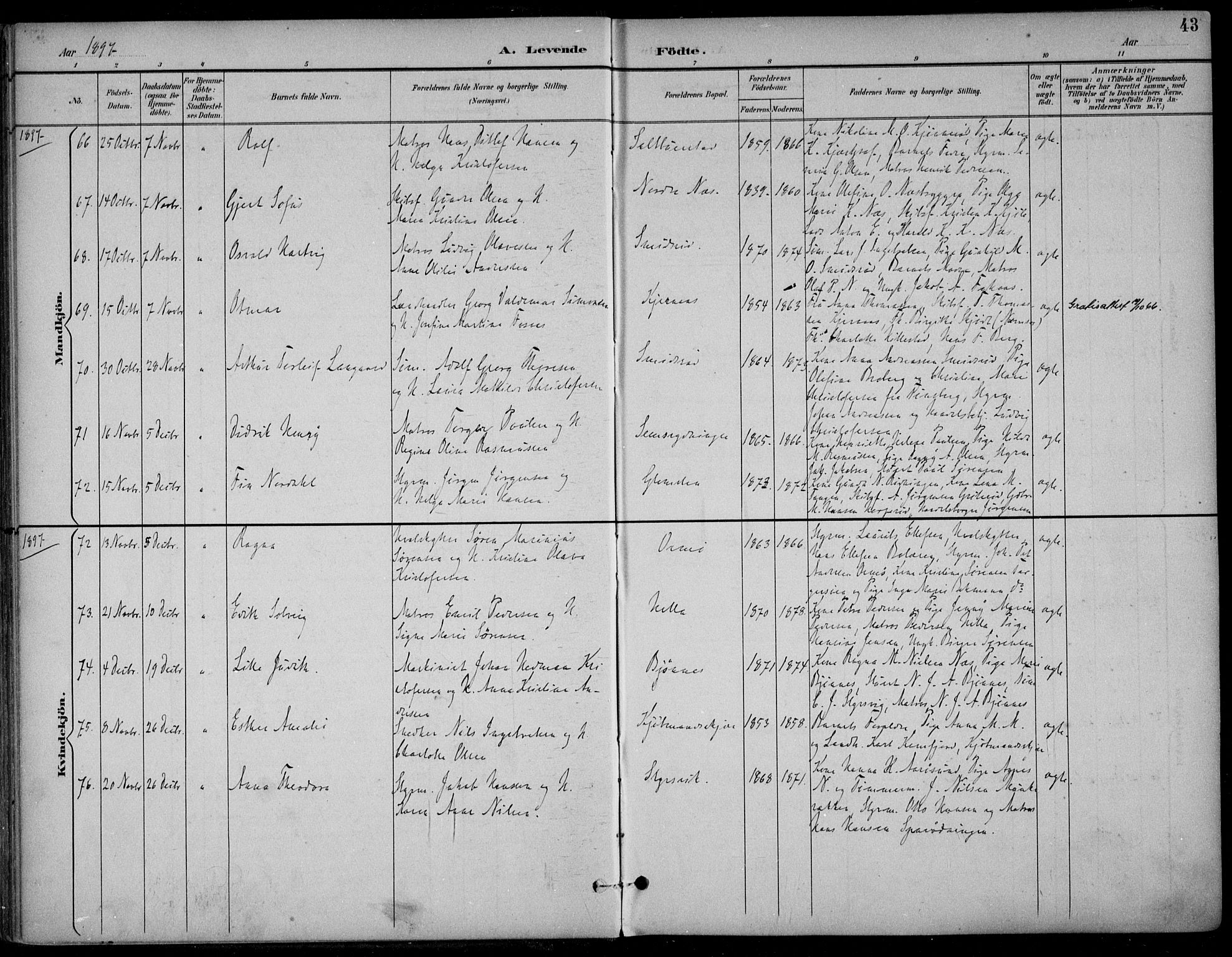 Nøtterøy kirkebøker, AV/SAKO-A-354/F/Fa/L0009: Parish register (official) no. I 9, 1894-1907, p. 43