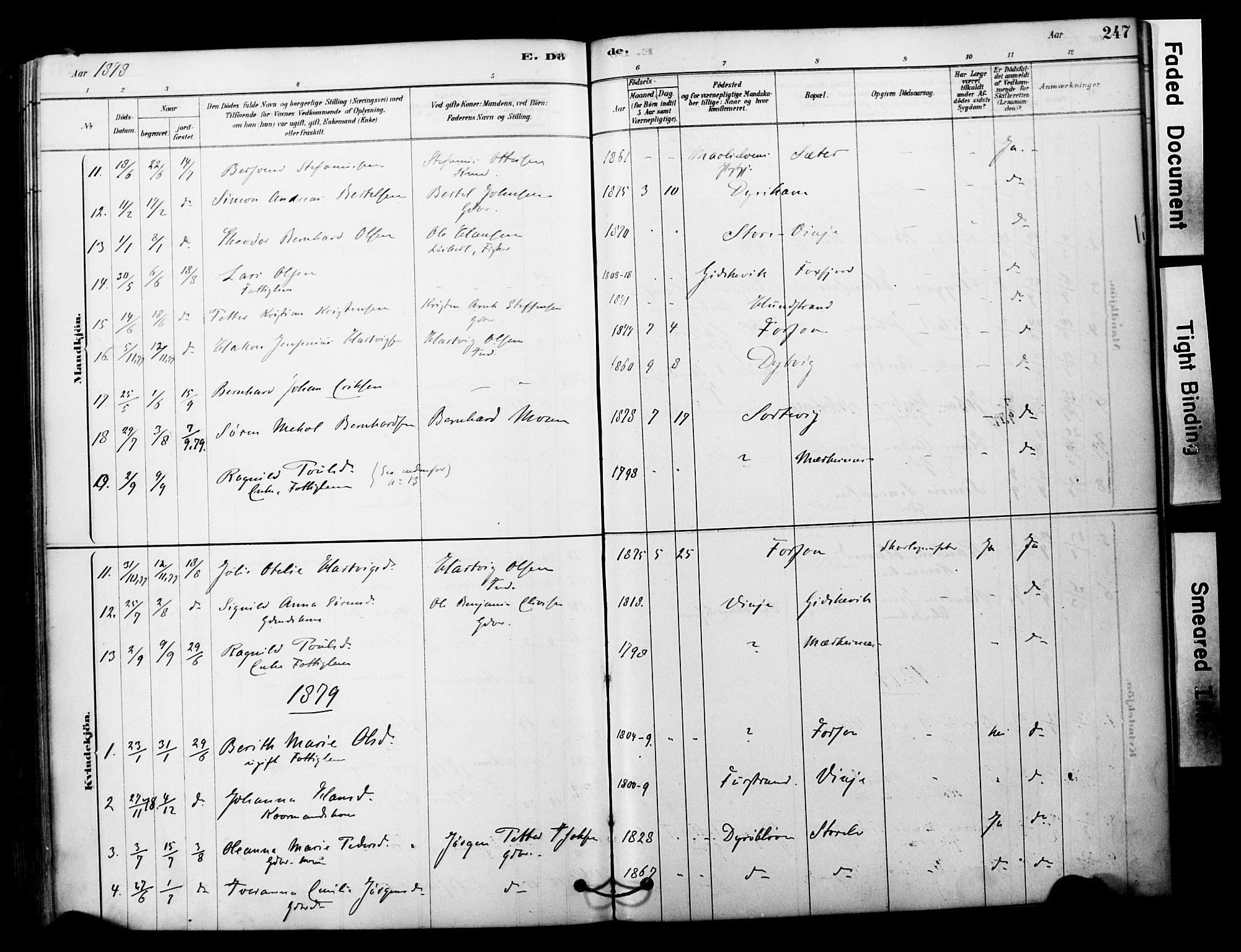 Tranøy sokneprestkontor, AV/SATØ-S-1313/I/Ia/Iaa/L0011kirke: Parish register (official) no. 11, 1878-1904, p. 247
