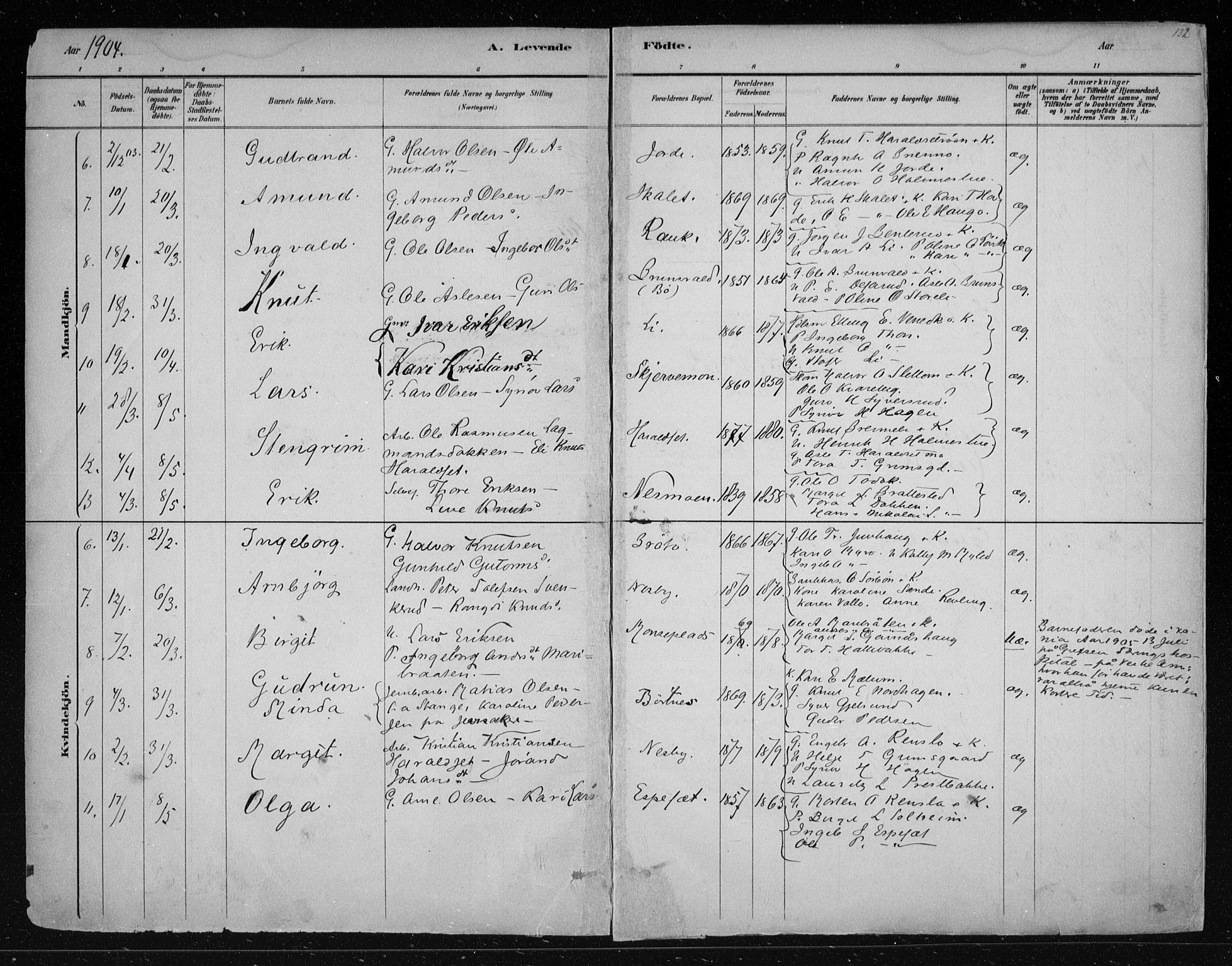 Nes kirkebøker, AV/SAKO-A-236/F/Fa/L0011: Parish register (official) no. 11, 1881-1912, p. 132