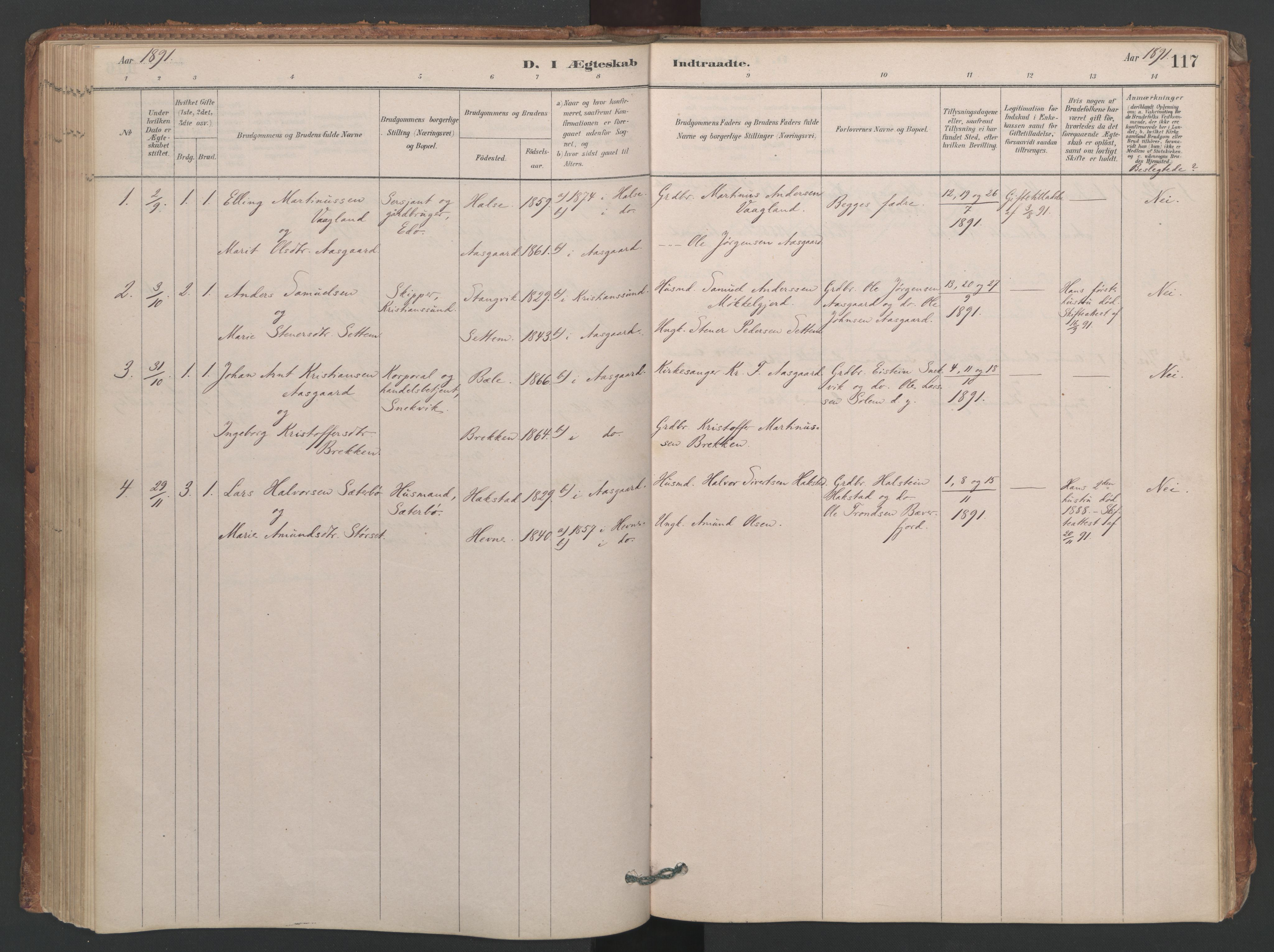 Ministerialprotokoller, klokkerbøker og fødselsregistre - Møre og Romsdal, AV/SAT-A-1454/594/L1036: Parish register (official) no. 594A02 (?), 1879-1910, p. 117