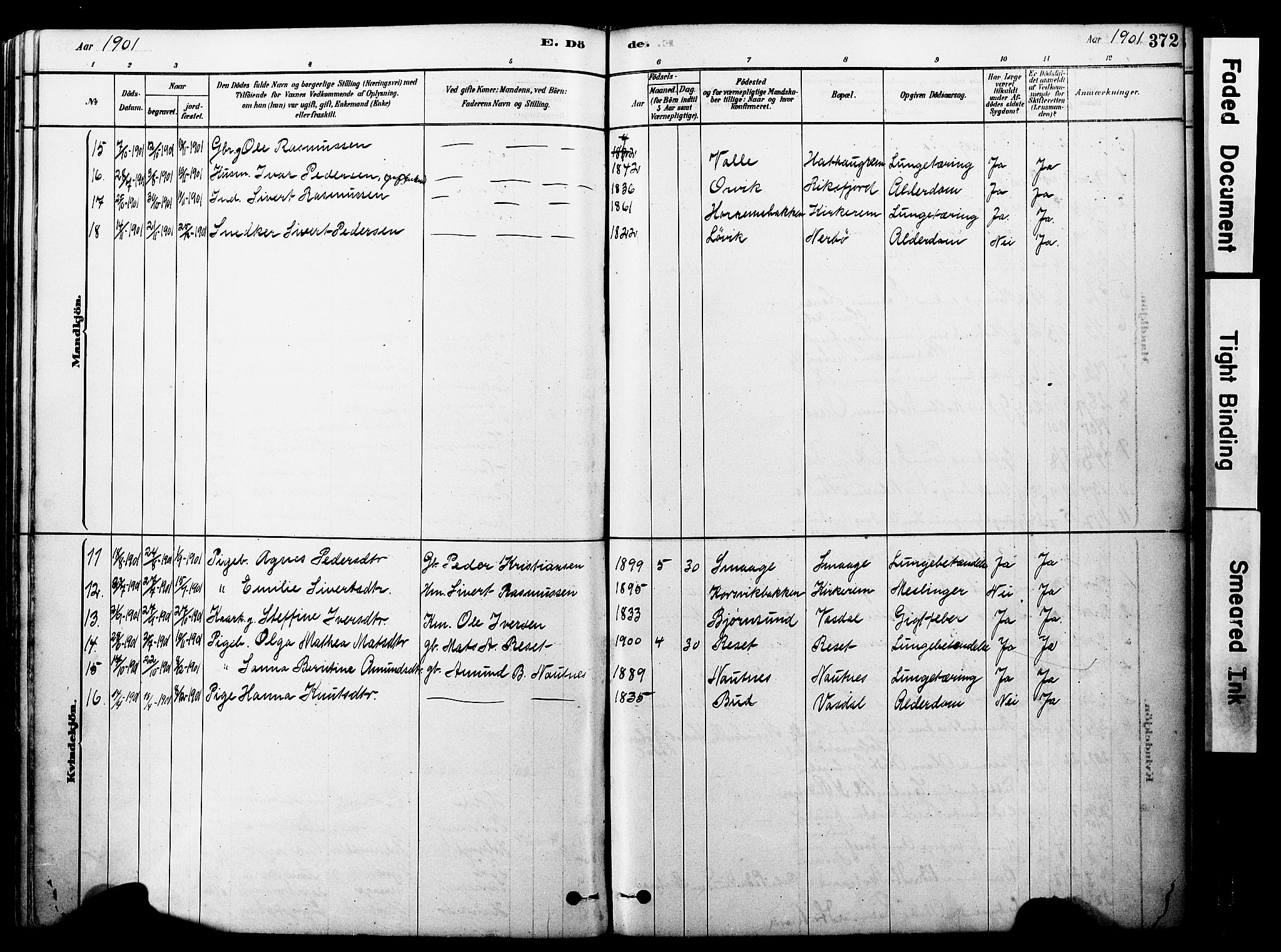 Ministerialprotokoller, klokkerbøker og fødselsregistre - Møre og Romsdal, AV/SAT-A-1454/560/L0721: Parish register (official) no. 560A05, 1878-1917, p. 372