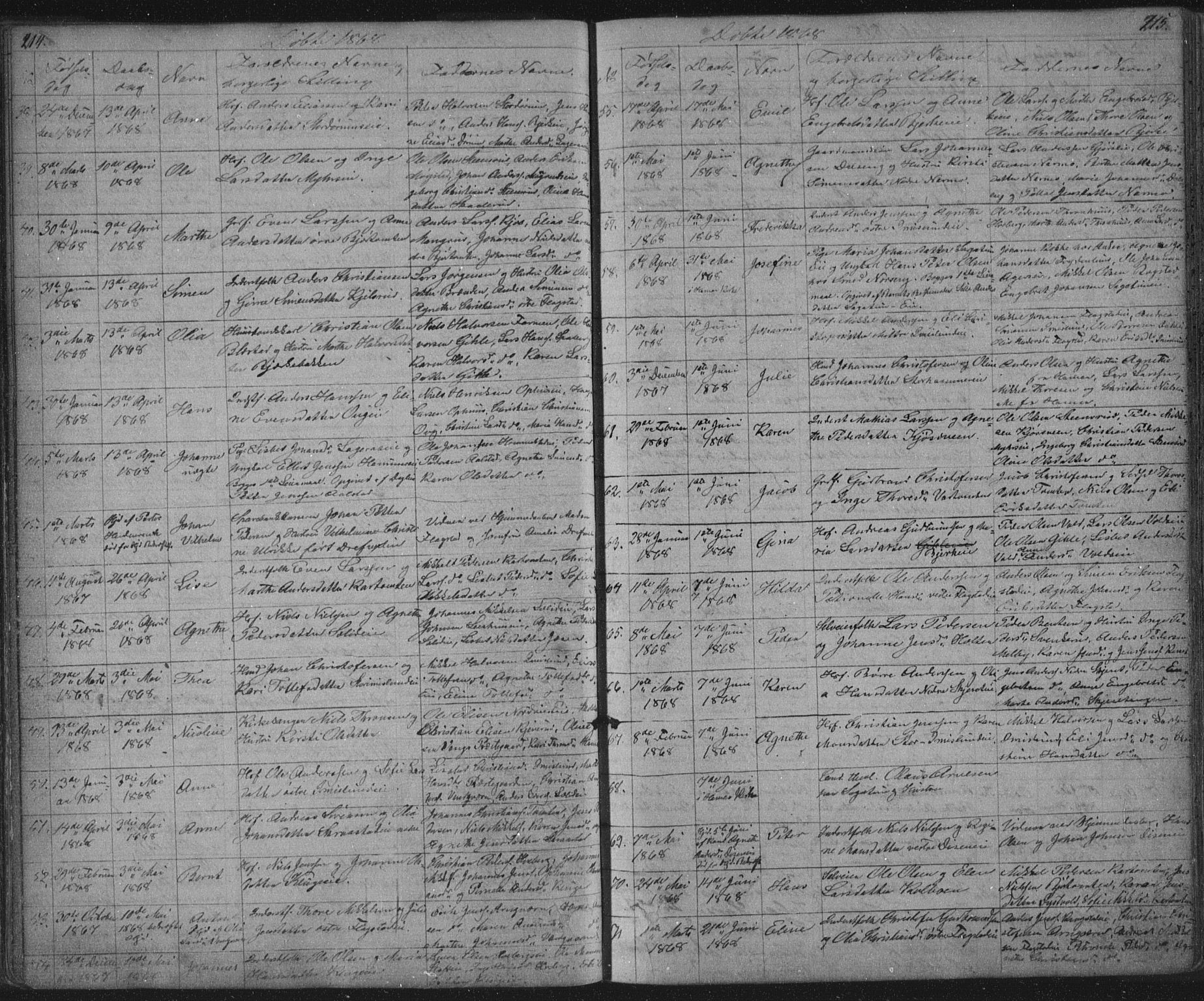 Vang prestekontor, Hedmark, AV/SAH-PREST-008/H/Ha/Hab/L0010A: Parish register (copy) no. 10a, 1854-1896, p. 214-215