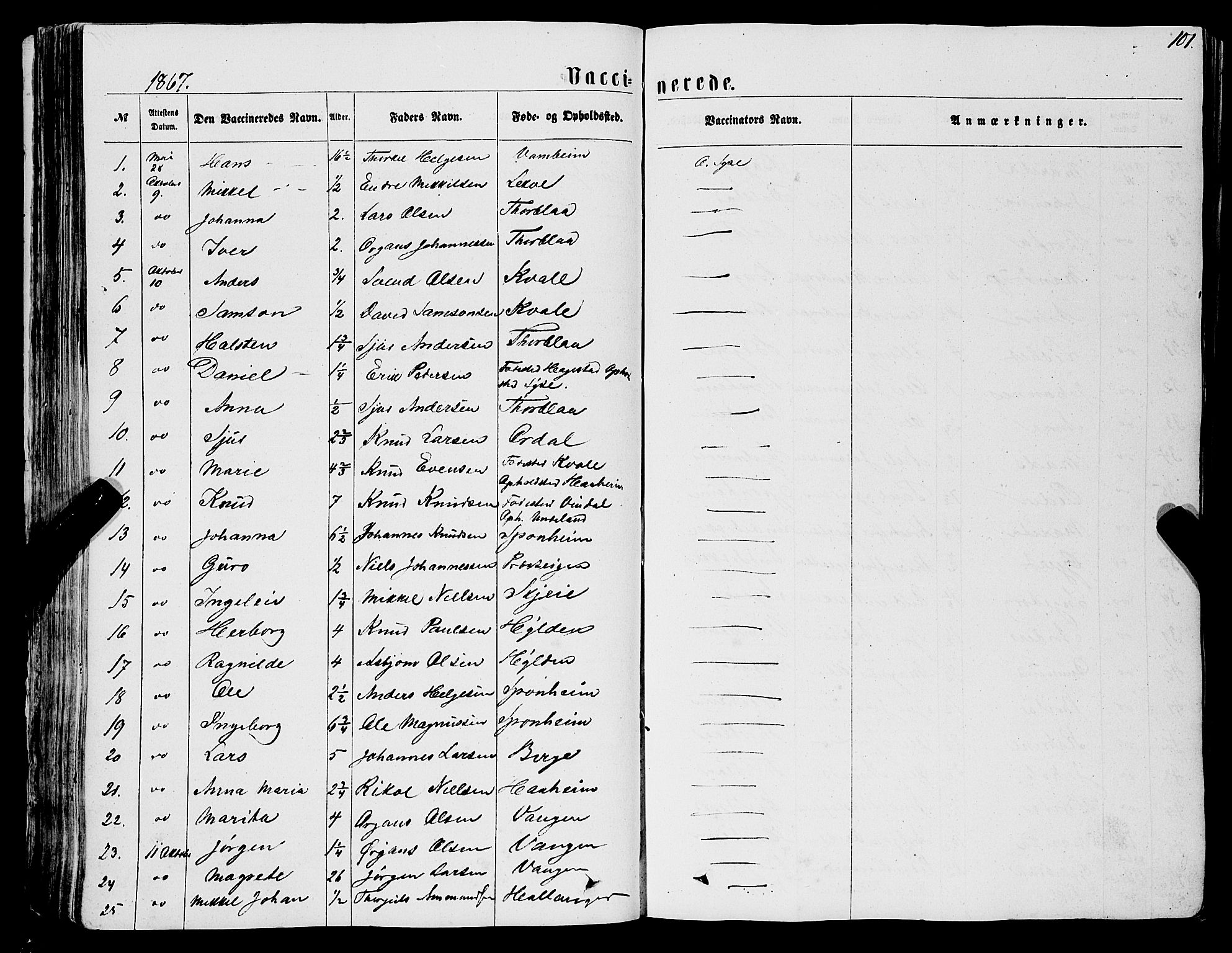 Ulvik sokneprestembete, AV/SAB-A-78801/H/Haa: Parish register (official) no. A 15, 1864-1878, p. 101