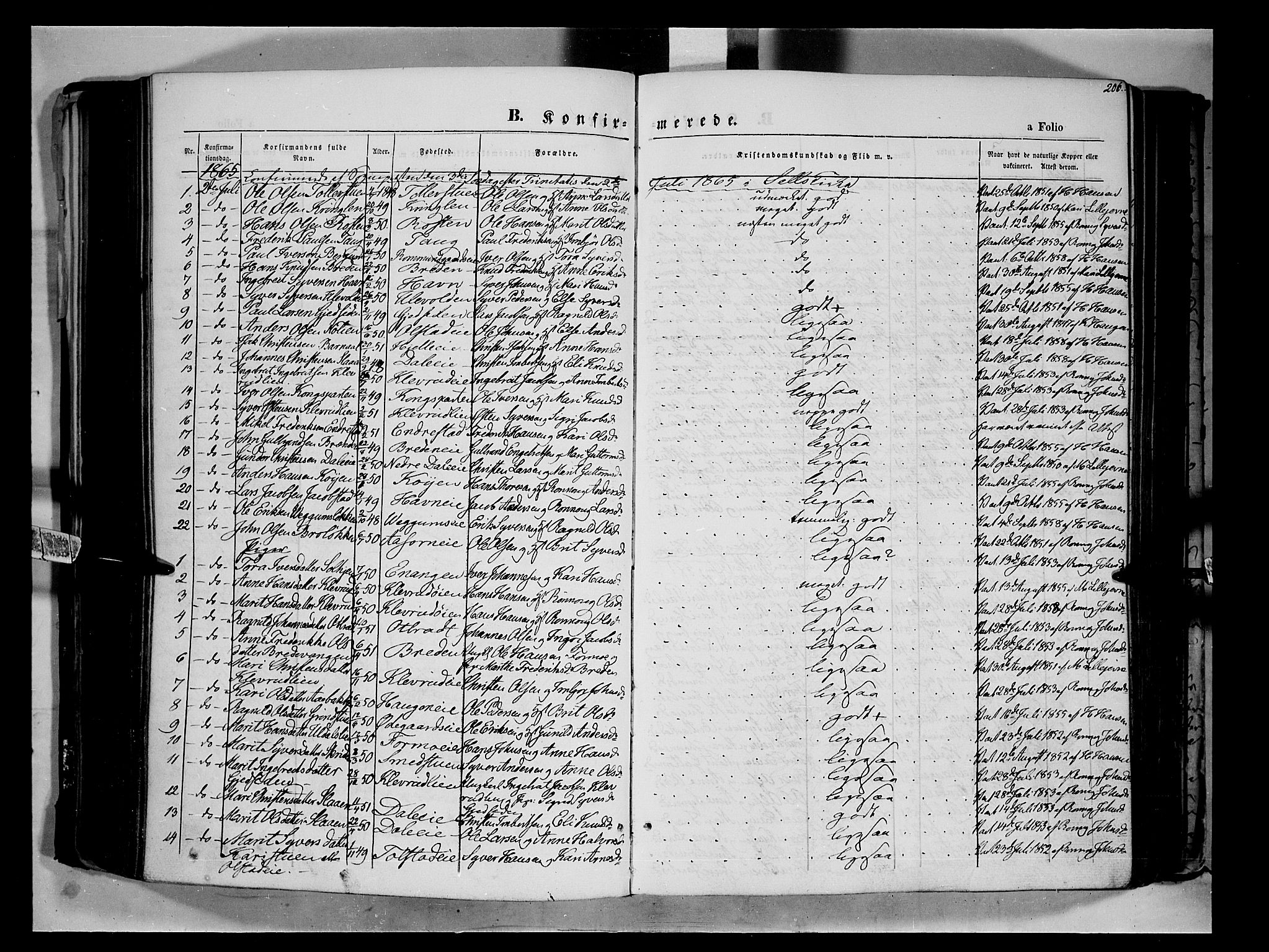 Vågå prestekontor, SAH/PREST-076/H/Ha/Haa/L0006: Parish register (official) no. 6 /1, 1856-1872, p. 206
