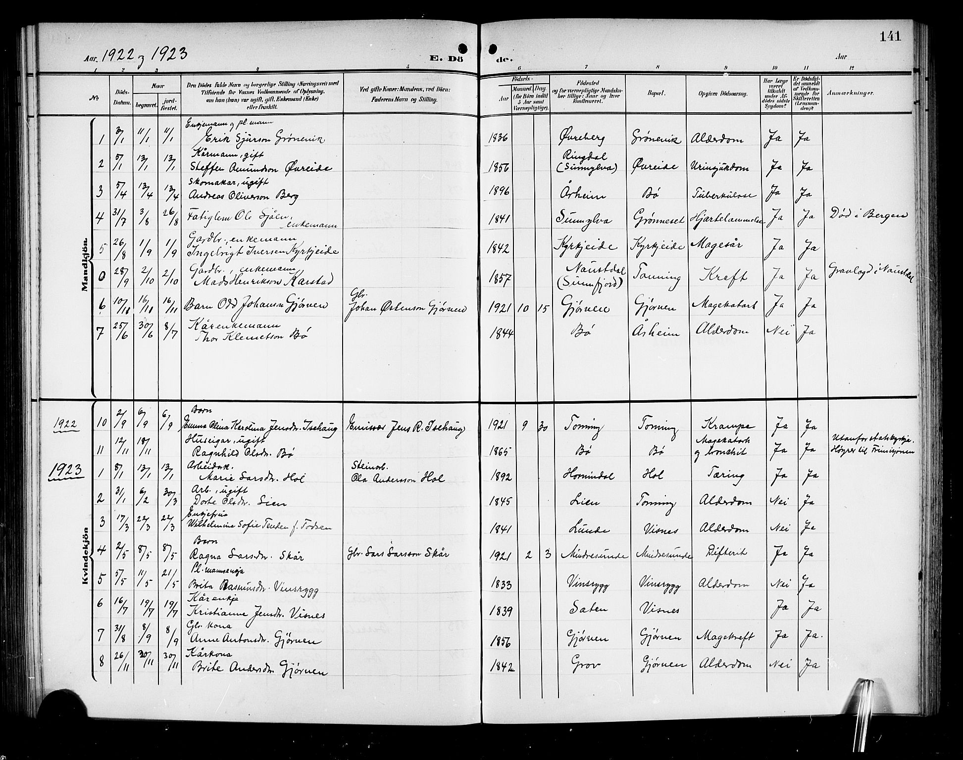 Stryn Sokneprestembete, AV/SAB-A-82501: Parish register (copy) no. A 3, 1906-1924, p. 141