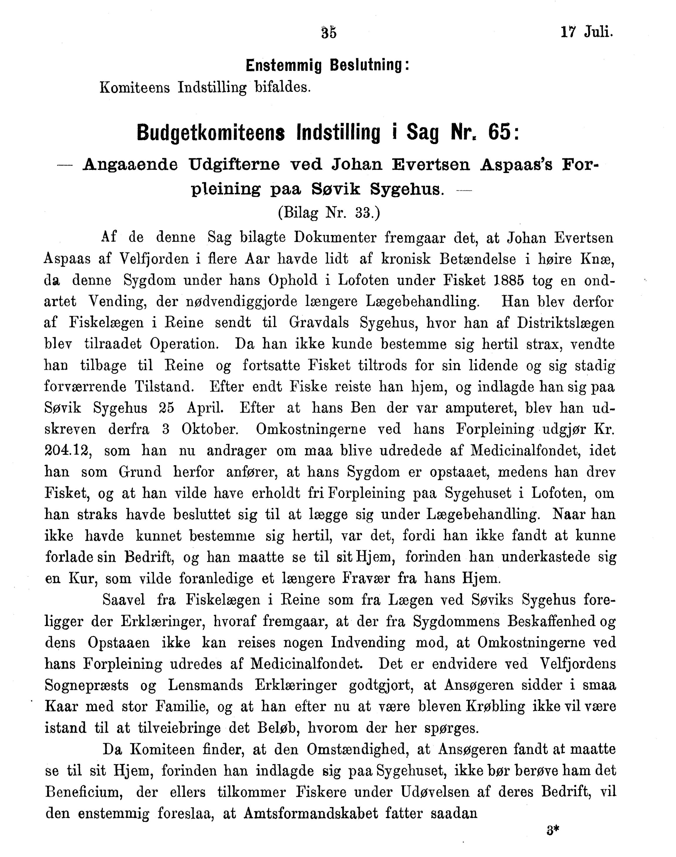 Nordland Fylkeskommune. Fylkestinget, AIN/NFK-17/176/A/Ac/L0015: Fylkestingsforhandlinger 1886-1890, 1886-1890