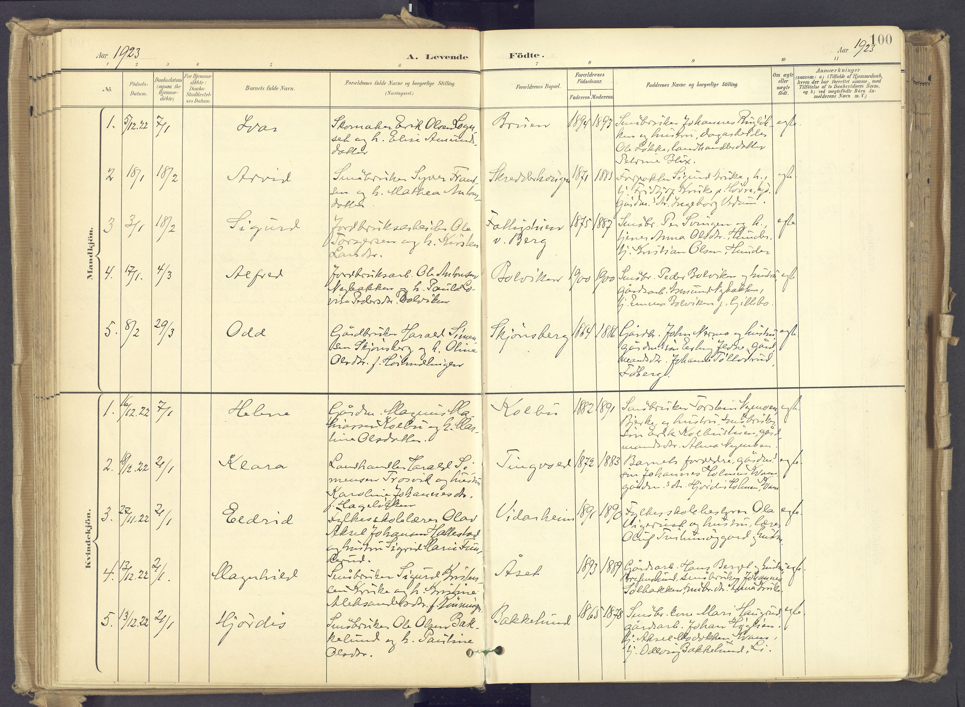 Øyer prestekontor, AV/SAH-PREST-084/H/Ha/Haa/L0012: Parish register (official) no. 12, 1897-1920, p. 100