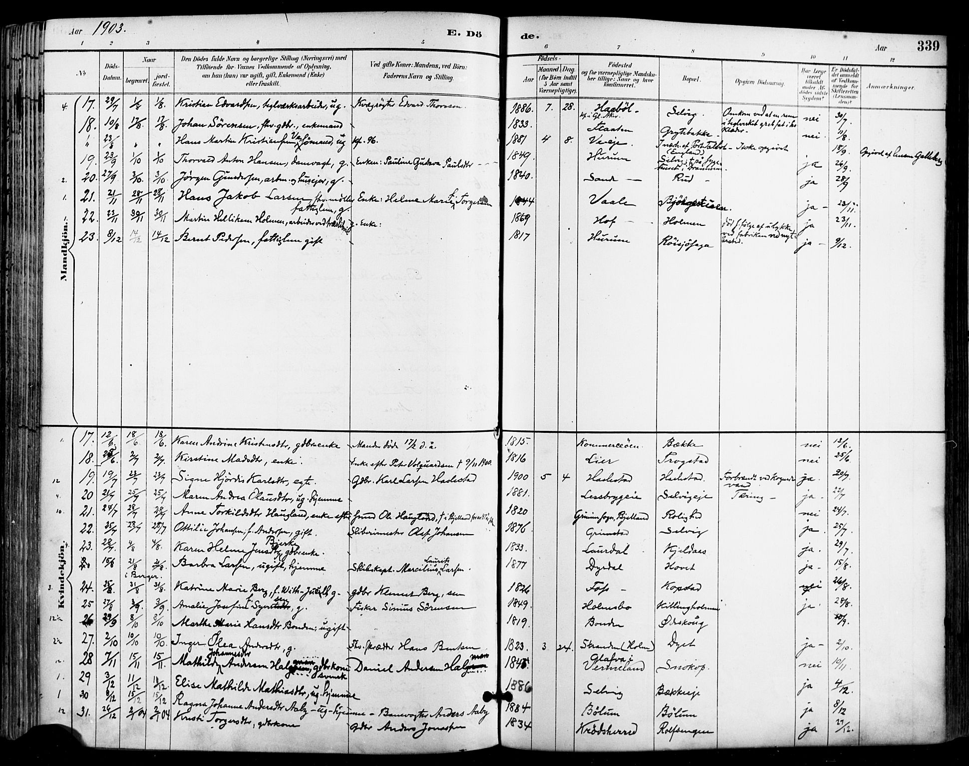 Sande Kirkebøker, AV/SAKO-A-53/F/Fa/L0007: Parish register (official) no. 7, 1888-1903, p. 339