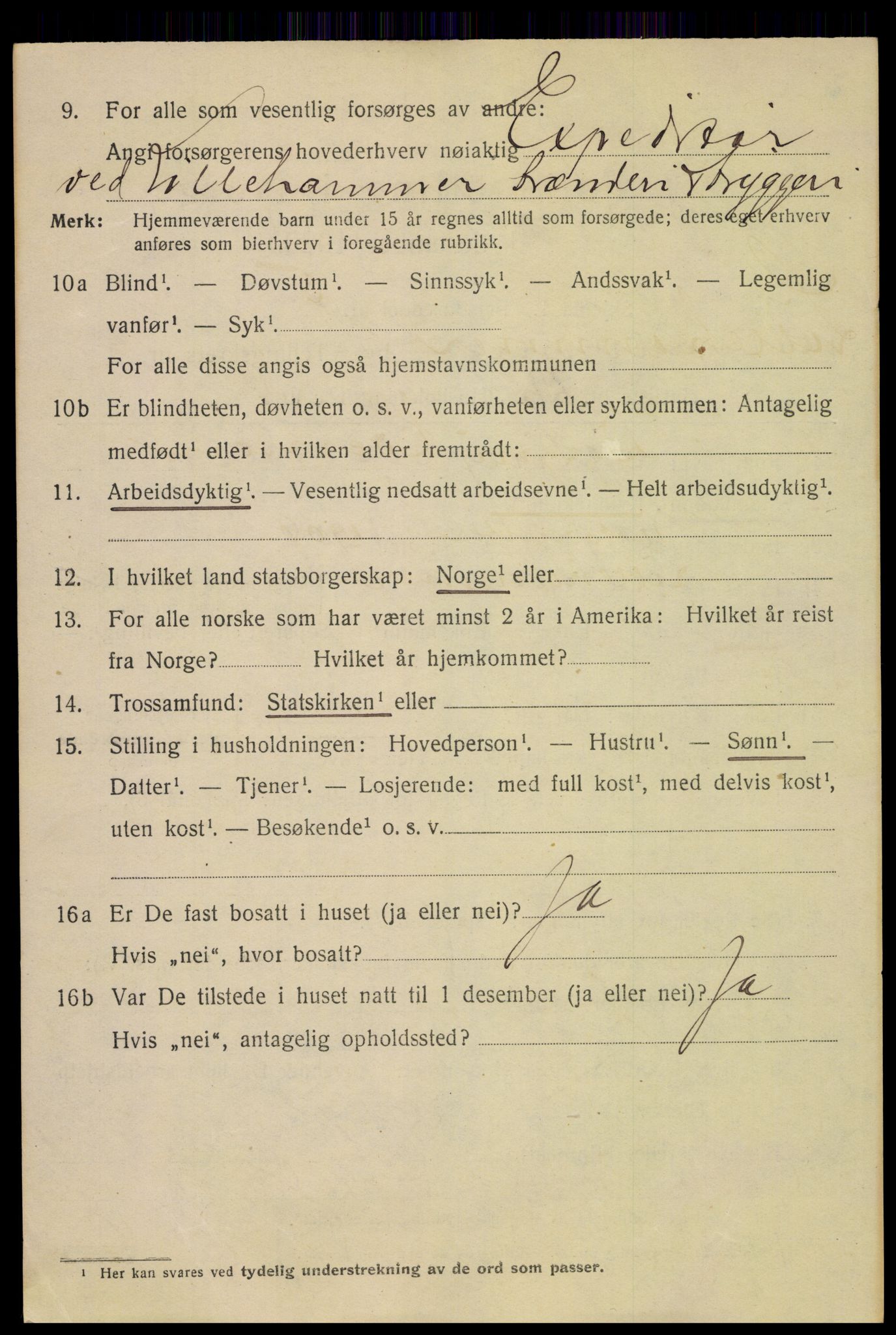 SAH, 1920 census for Lillehammer, 1920, p. 8215