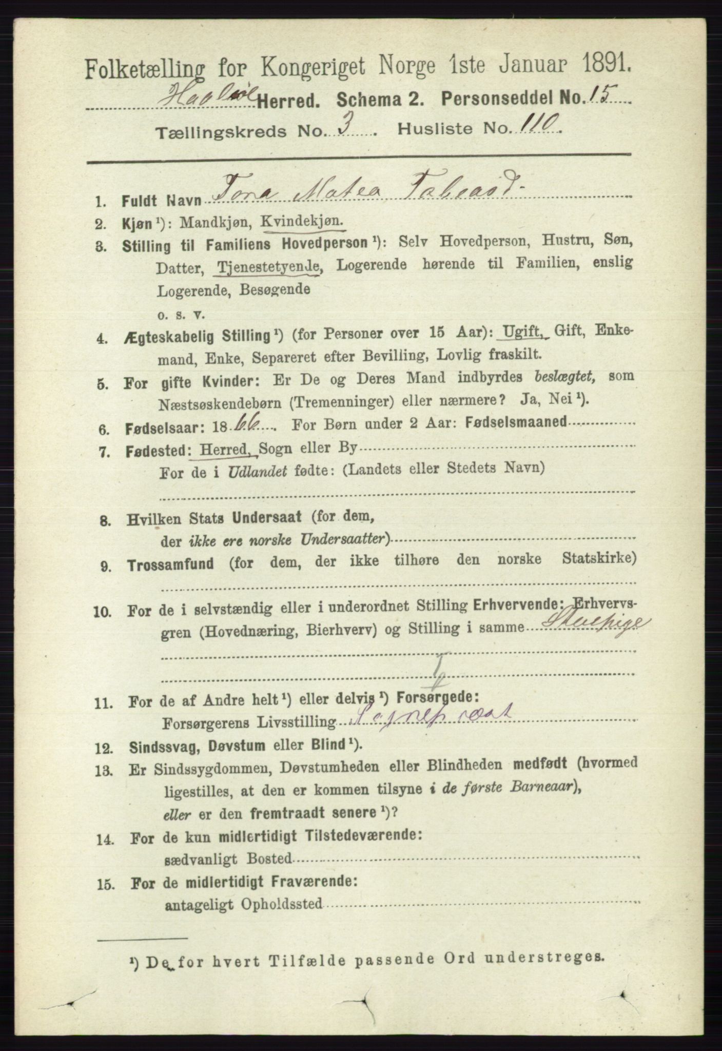 RA, 1891 census for 0138 Hobøl, 1891, p. 2284