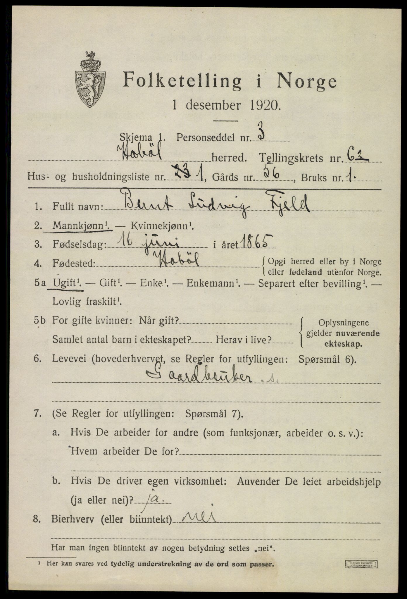 SAO, 1920 census for Hobøl, 1920, p. 2446