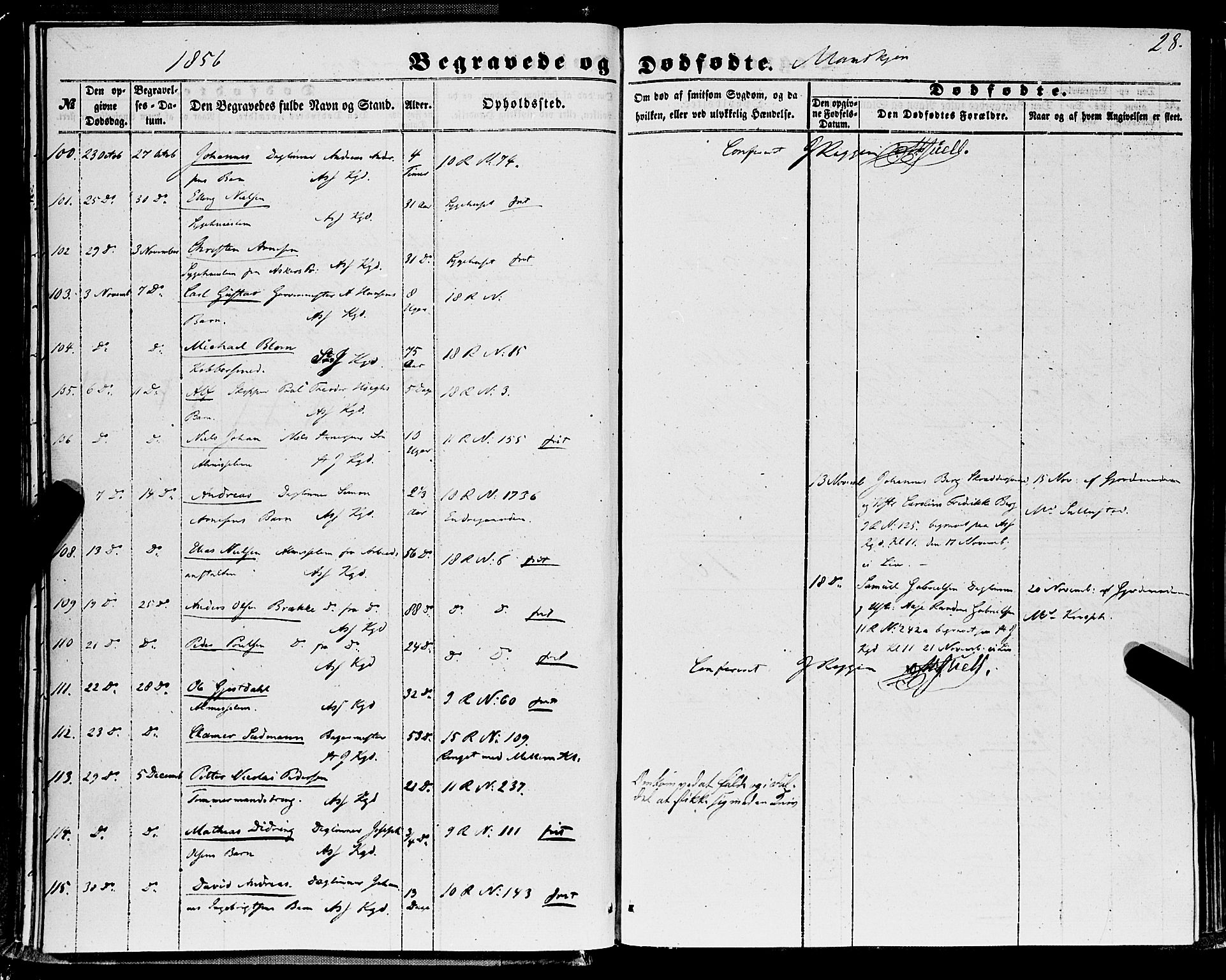 Domkirken sokneprestembete, AV/SAB-A-74801/H/Haa/L0041: Parish register (official) no. E 2, 1853-1863, p. 28