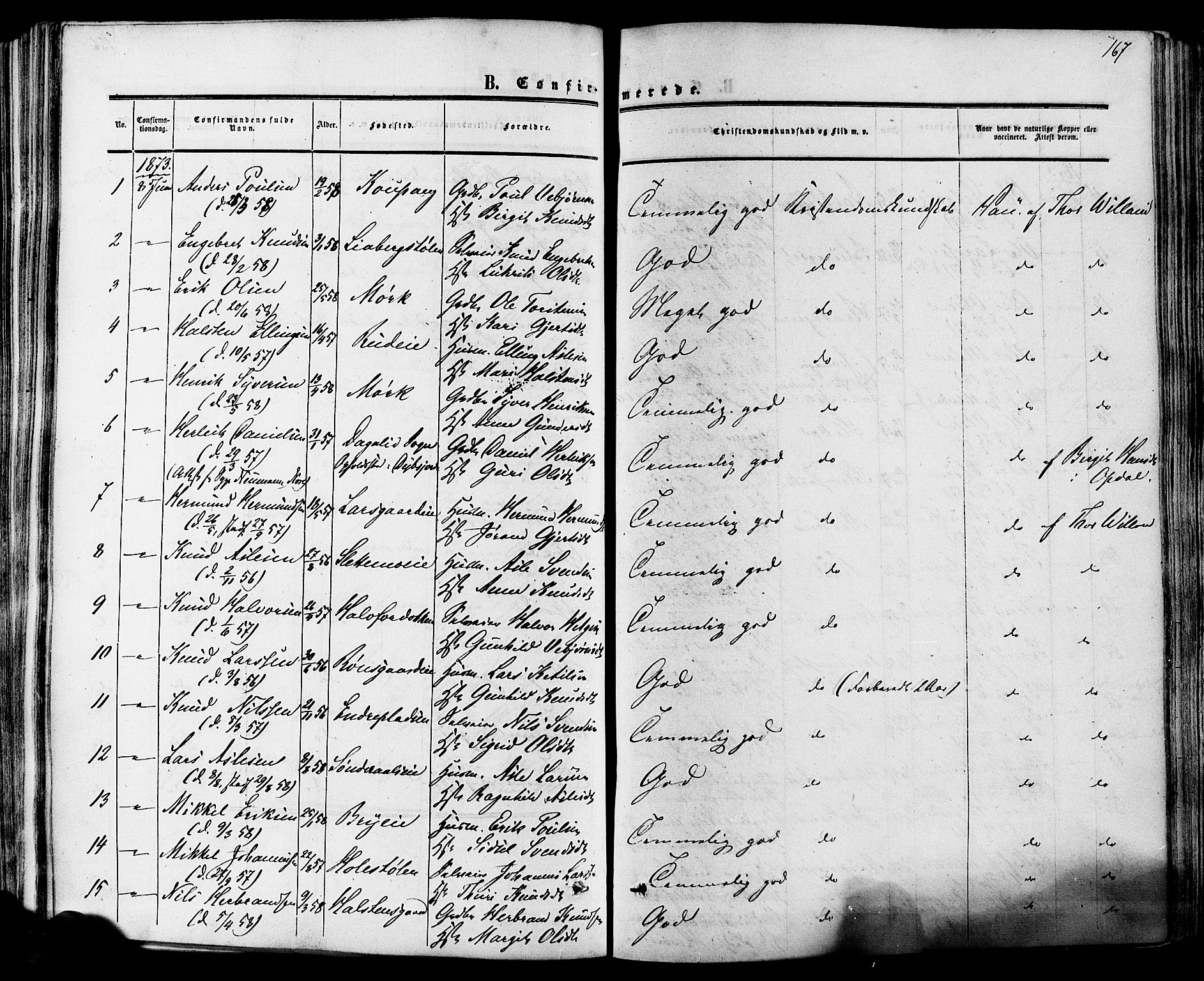 Hol kirkebøker, AV/SAKO-A-227/F/Fa/L0002: Parish register (official) no. I 2, 1870-1886, p. 167