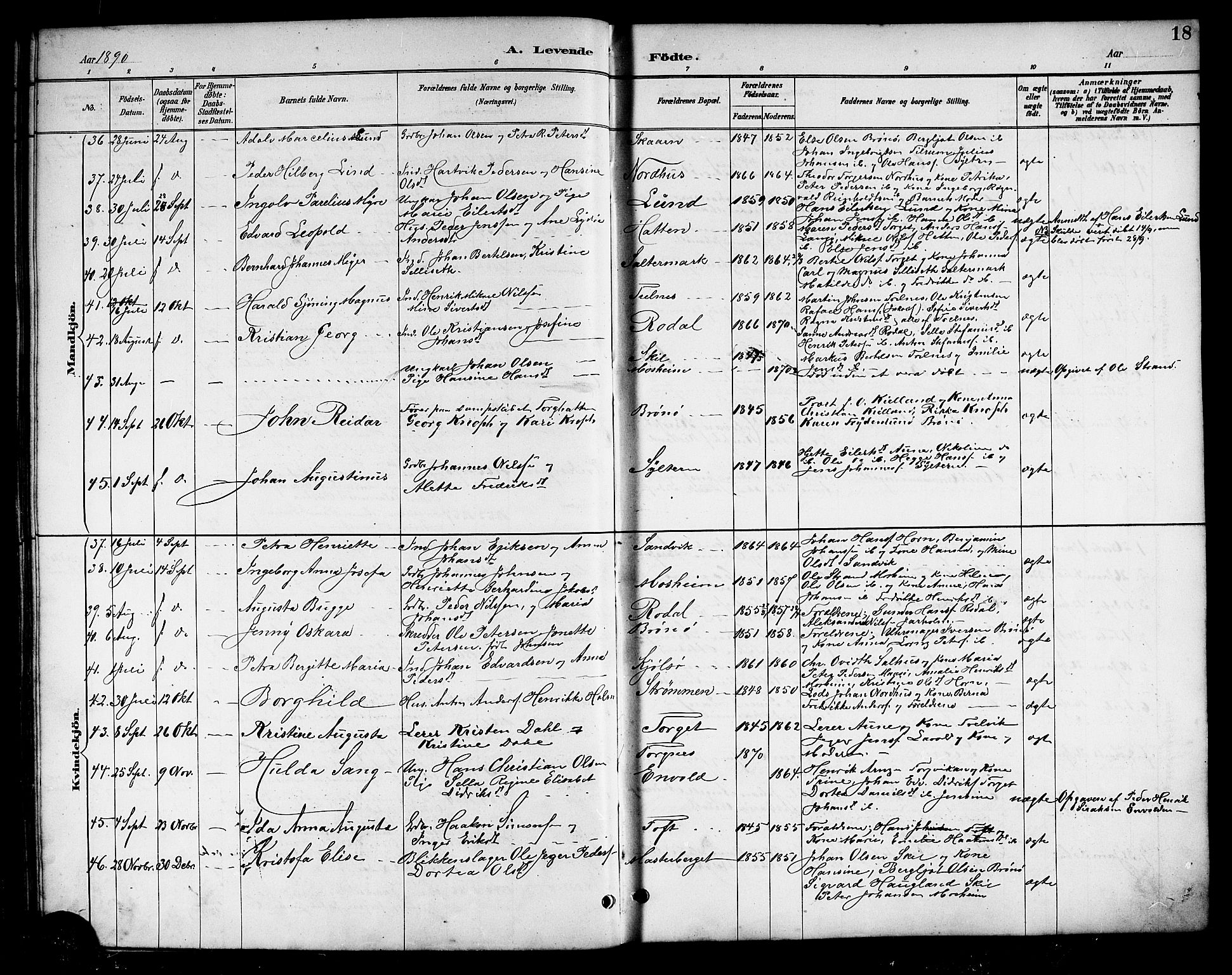 Ministerialprotokoller, klokkerbøker og fødselsregistre - Nordland, AV/SAT-A-1459/813/L0213: Parish register (copy) no. 813C05, 1887-1903, p. 18