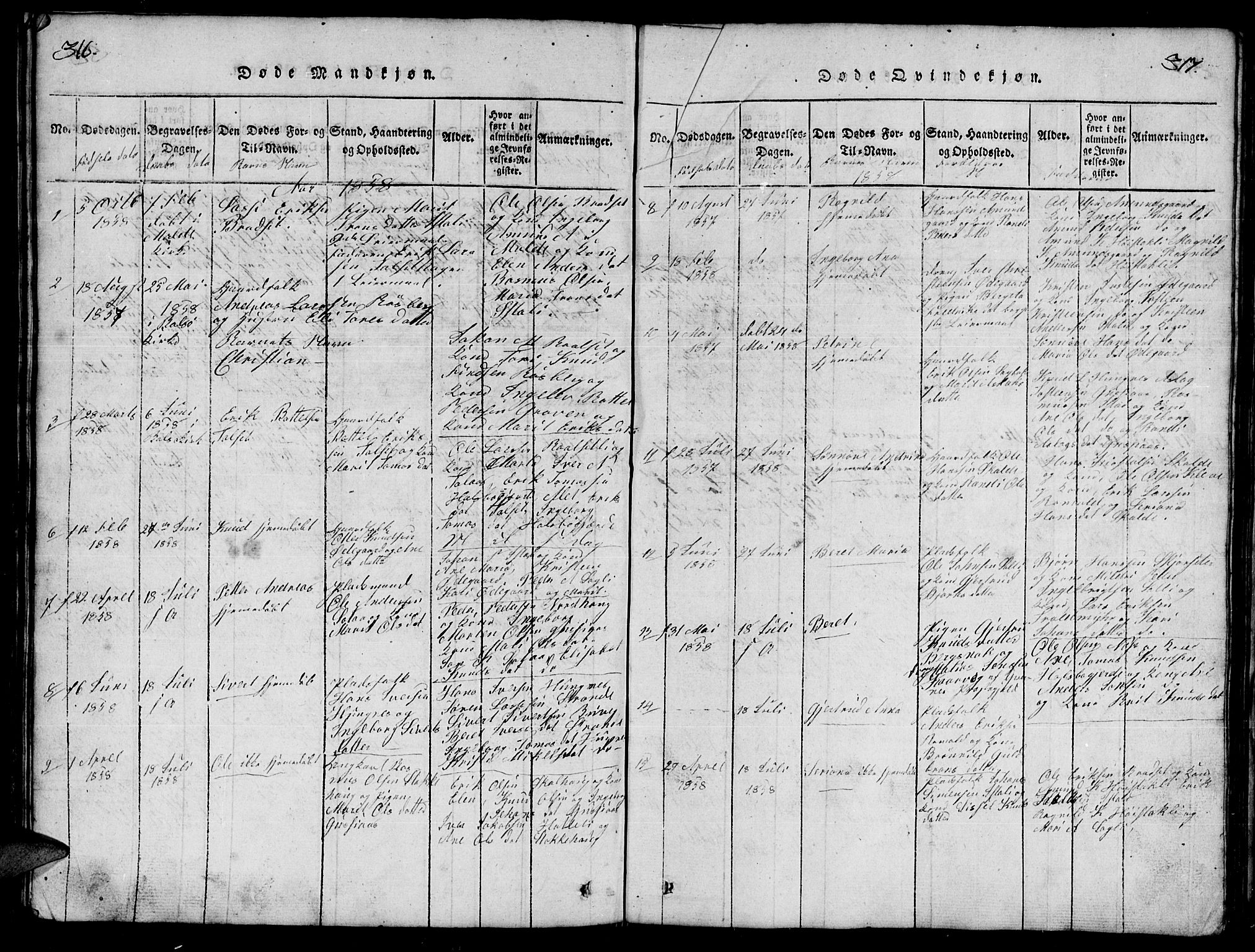 Ministerialprotokoller, klokkerbøker og fødselsregistre - Møre og Romsdal, SAT/A-1454/557/L0683: Parish register (copy) no. 557C01, 1818-1862, p. 316-317