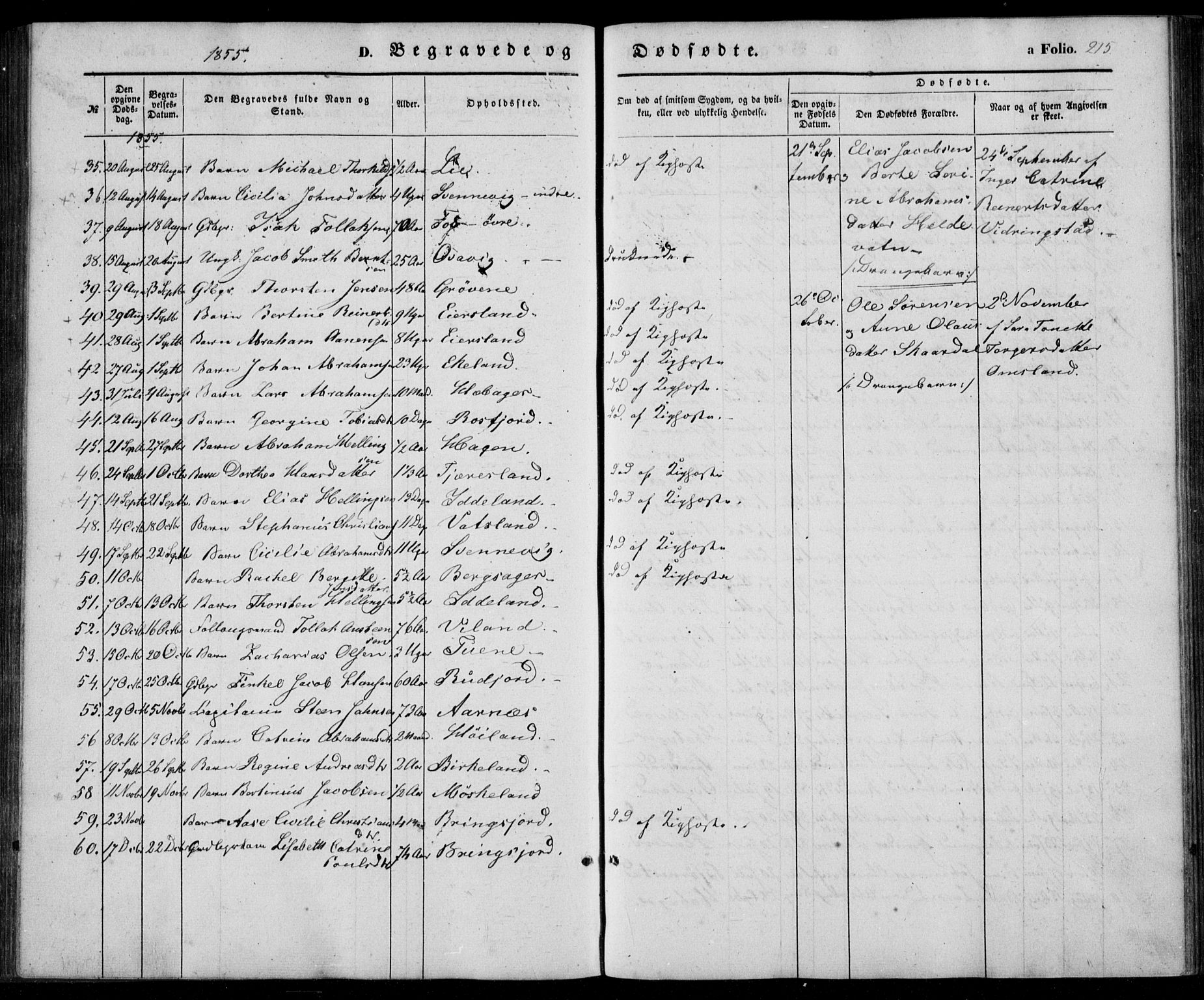 Lyngdal sokneprestkontor, SAK/1111-0029/F/Fa/Fac/L0009: Parish register (official) no. A 9, 1852-1864, p. 215