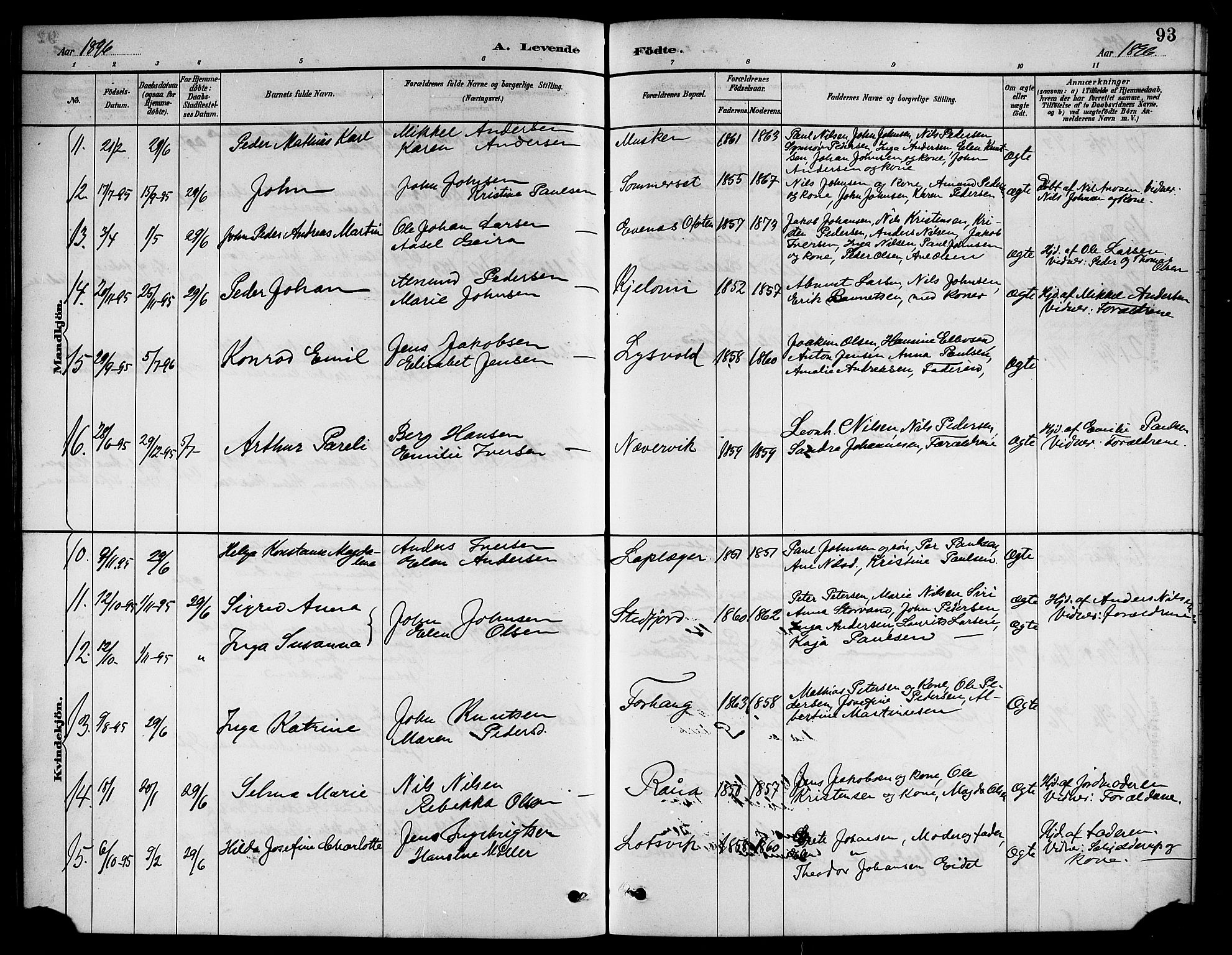 Ministerialprotokoller, klokkerbøker og fødselsregistre - Nordland, AV/SAT-A-1459/861/L0876: Parish register (copy) no. 861C02, 1887-1903, p. 93