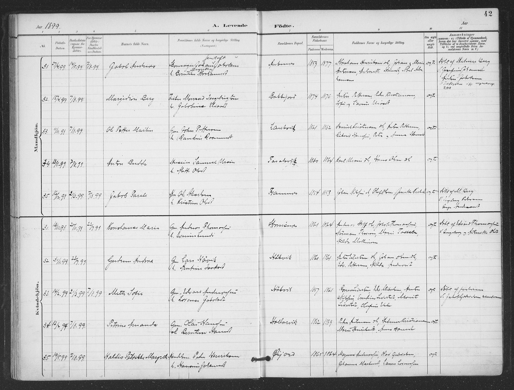 Ministerialprotokoller, klokkerbøker og fødselsregistre - Nordland, AV/SAT-A-1459/866/L0939: Parish register (official) no. 866A02, 1894-1906, p. 42