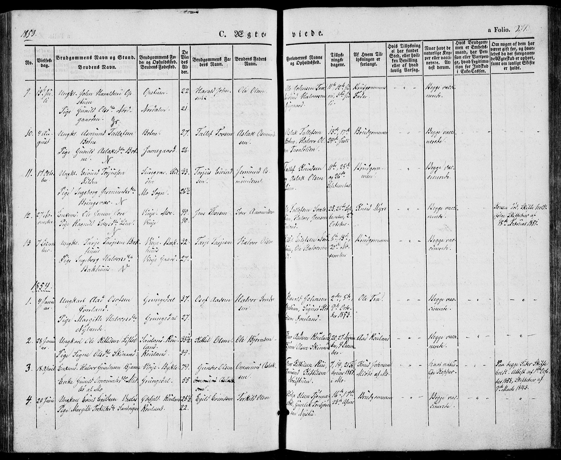 Vinje kirkebøker, SAKO/A-312/F/Fa/L0004: Parish register (official) no. I 4, 1843-1869, p. 271
