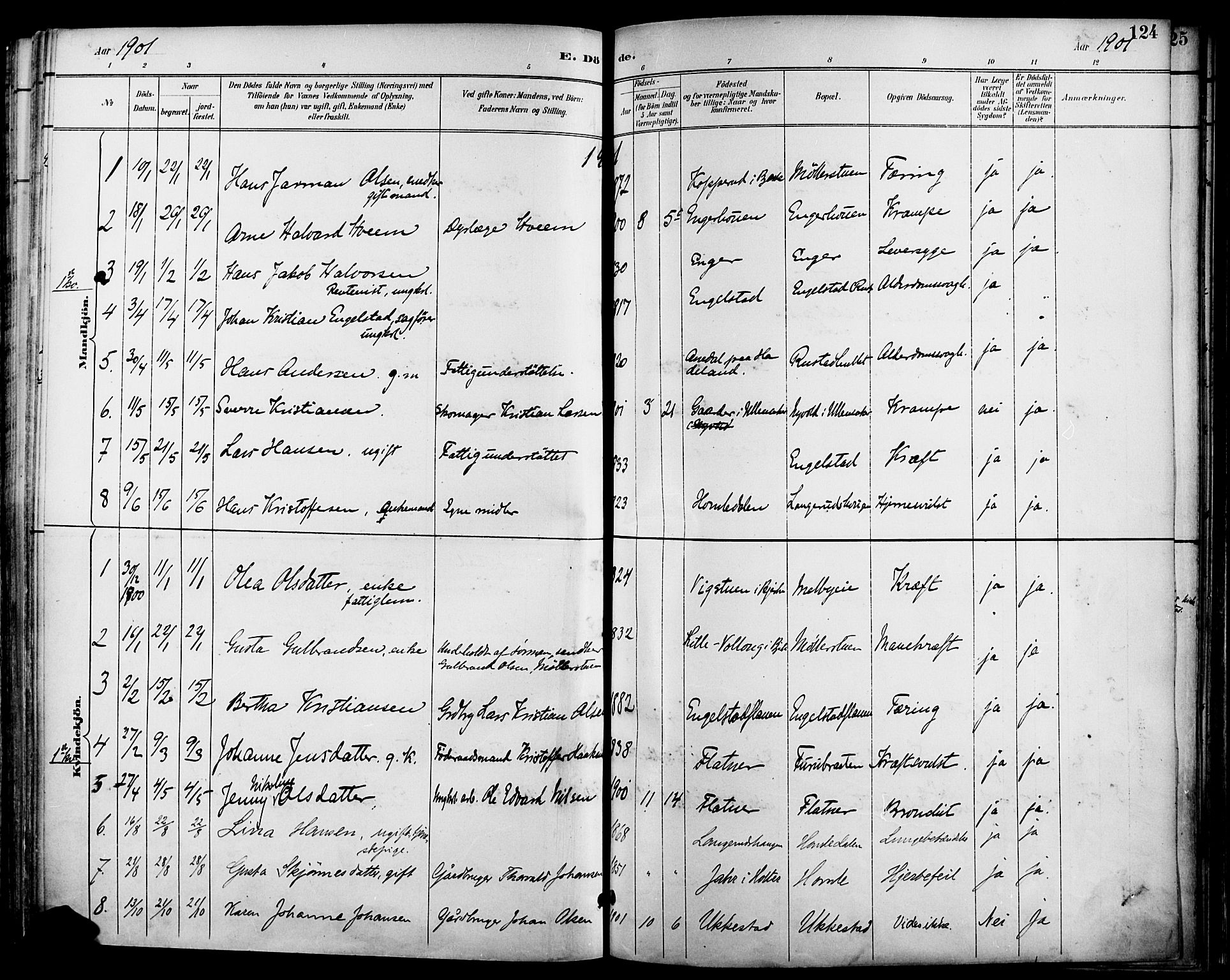 Nannestad prestekontor Kirkebøker, SAO/A-10414a/F/Fa/L0015: Parish register (official) no. I 15, 1891-1905, p. 124