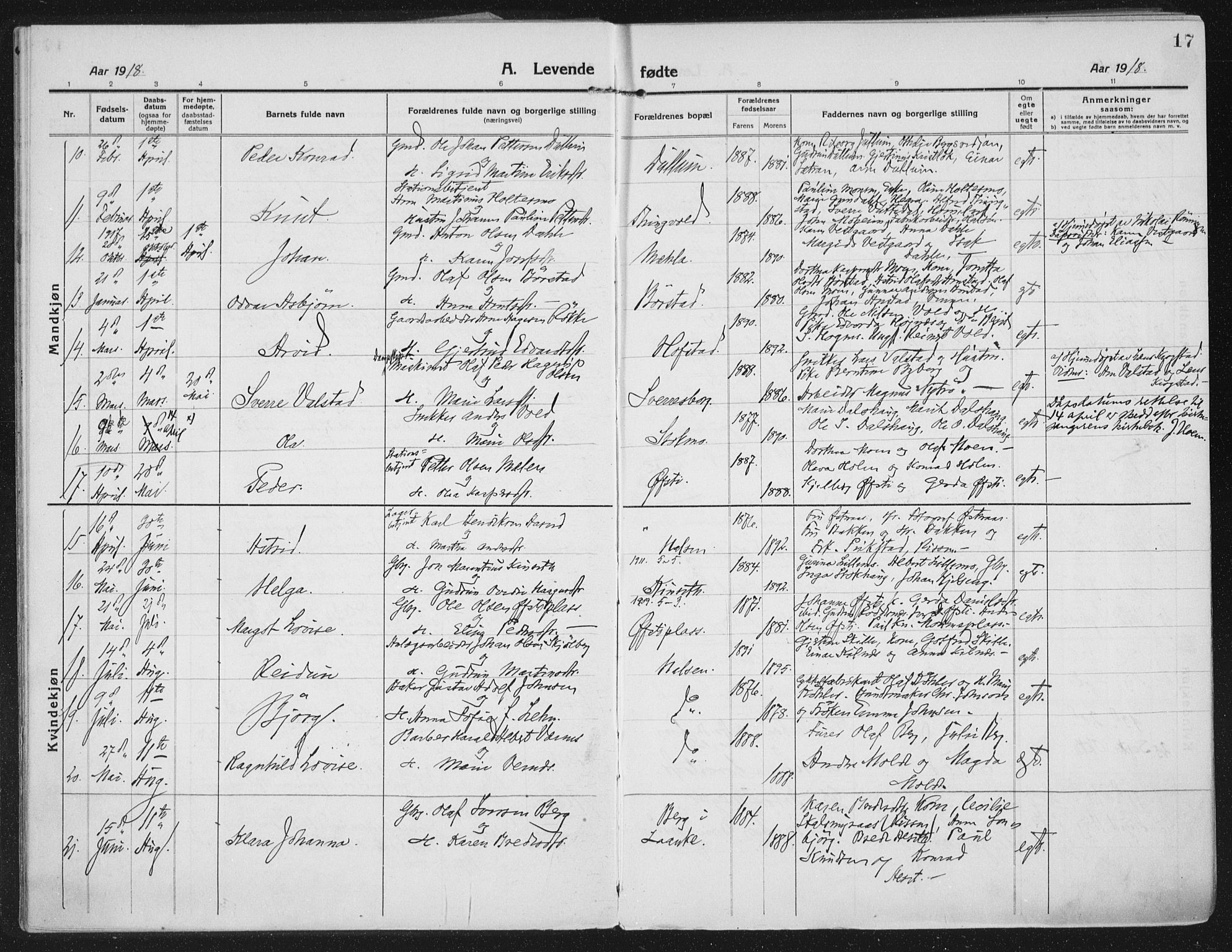 Ministerialprotokoller, klokkerbøker og fødselsregistre - Nord-Trøndelag, AV/SAT-A-1458/709/L0083: Parish register (official) no. 709A23, 1916-1928, p. 17