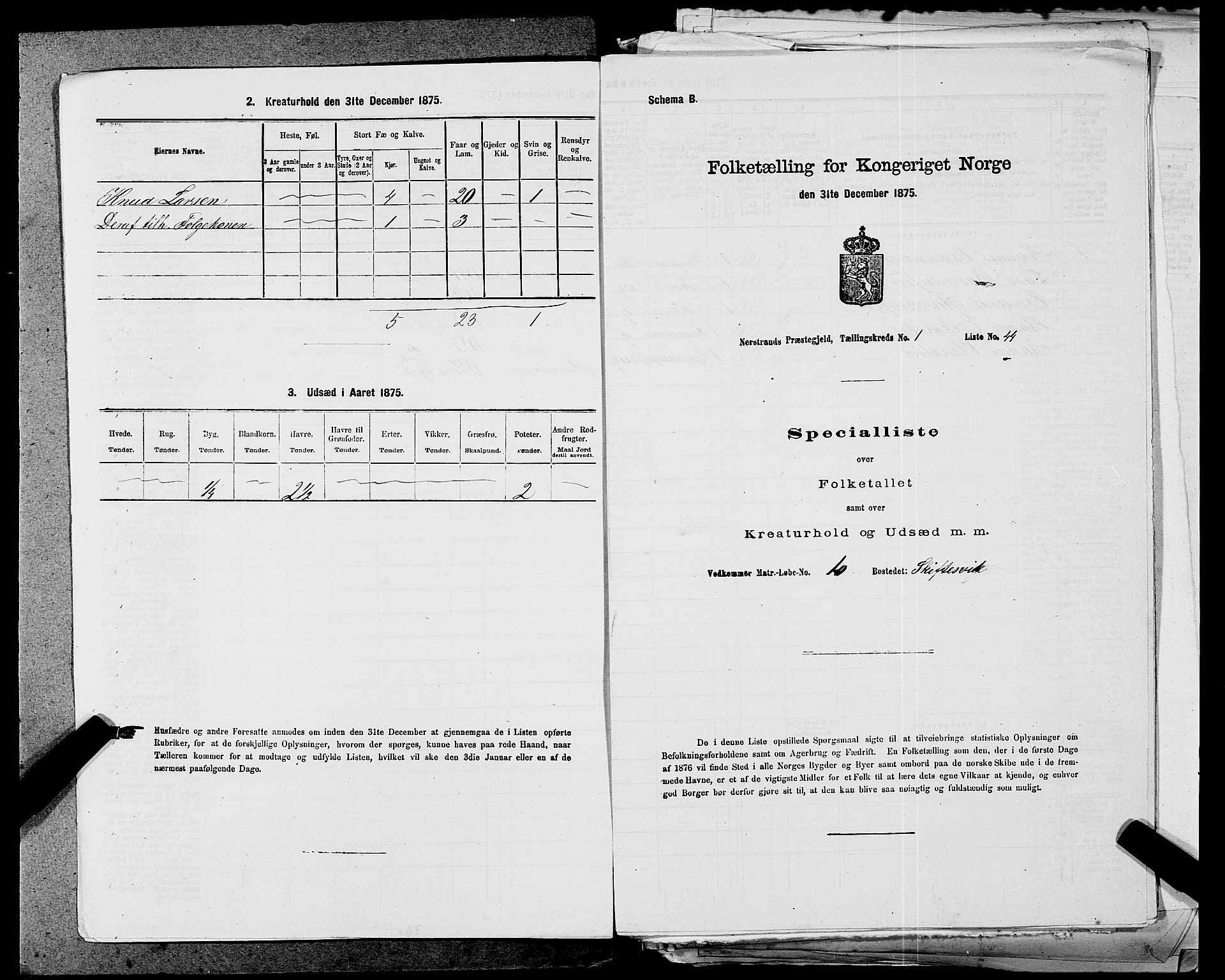 SAST, 1875 census for 1139P Nedstrand, 1875, p. 135