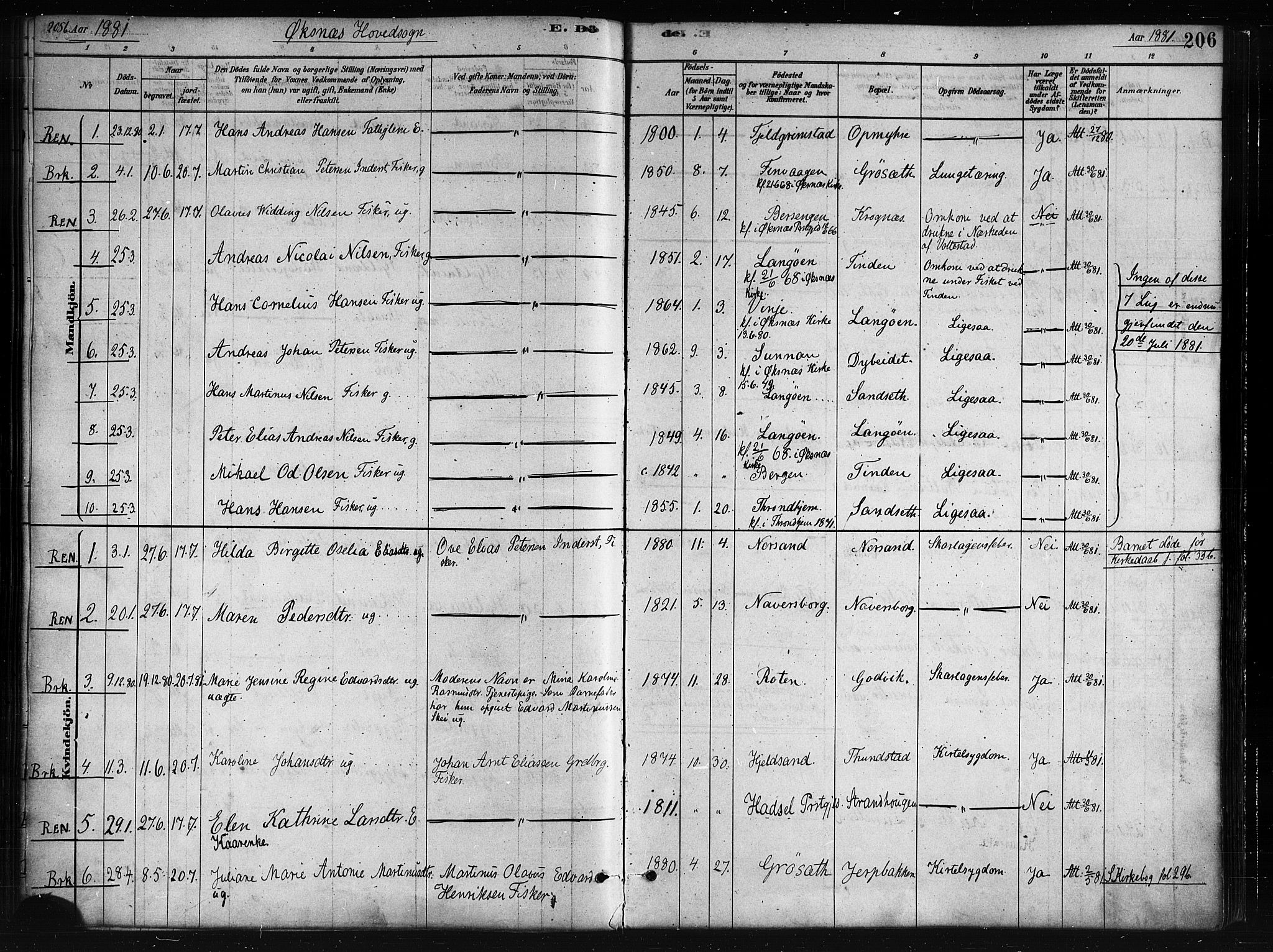 Ministerialprotokoller, klokkerbøker og fødselsregistre - Nordland, AV/SAT-A-1459/893/L1335: Parish register (official) no. 893A08 /1, 1878-1884, p. 206